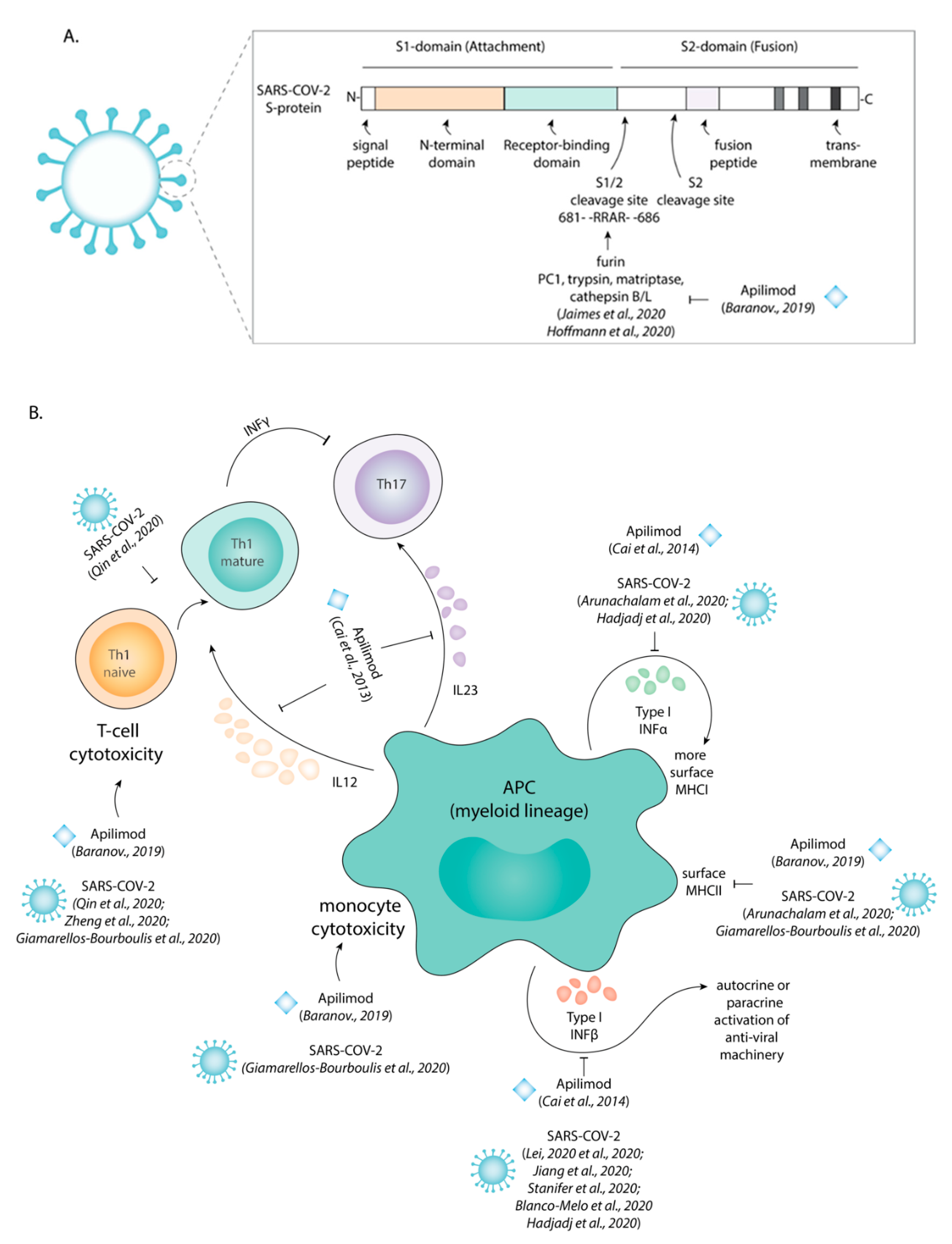 Cells 10 00030 g001 Cells 10 00030 g001
