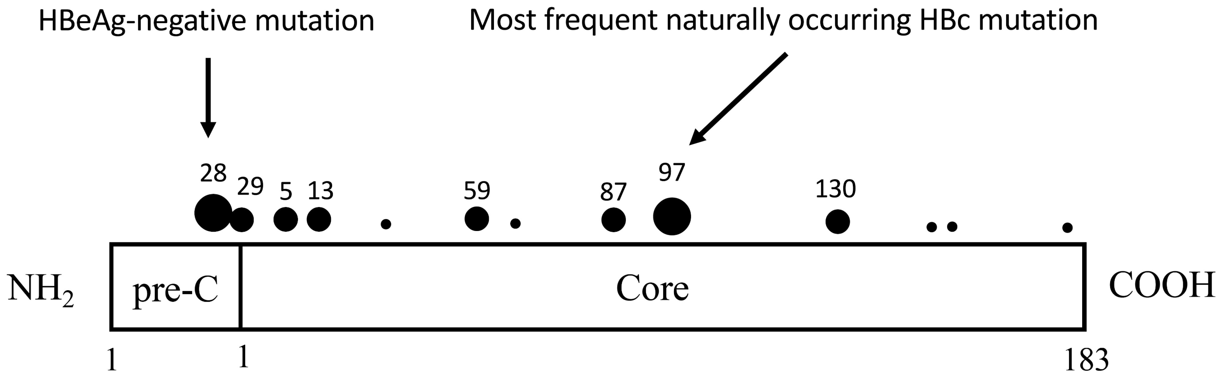 Cells 10 00043 g001 Cells 10 00043 g001