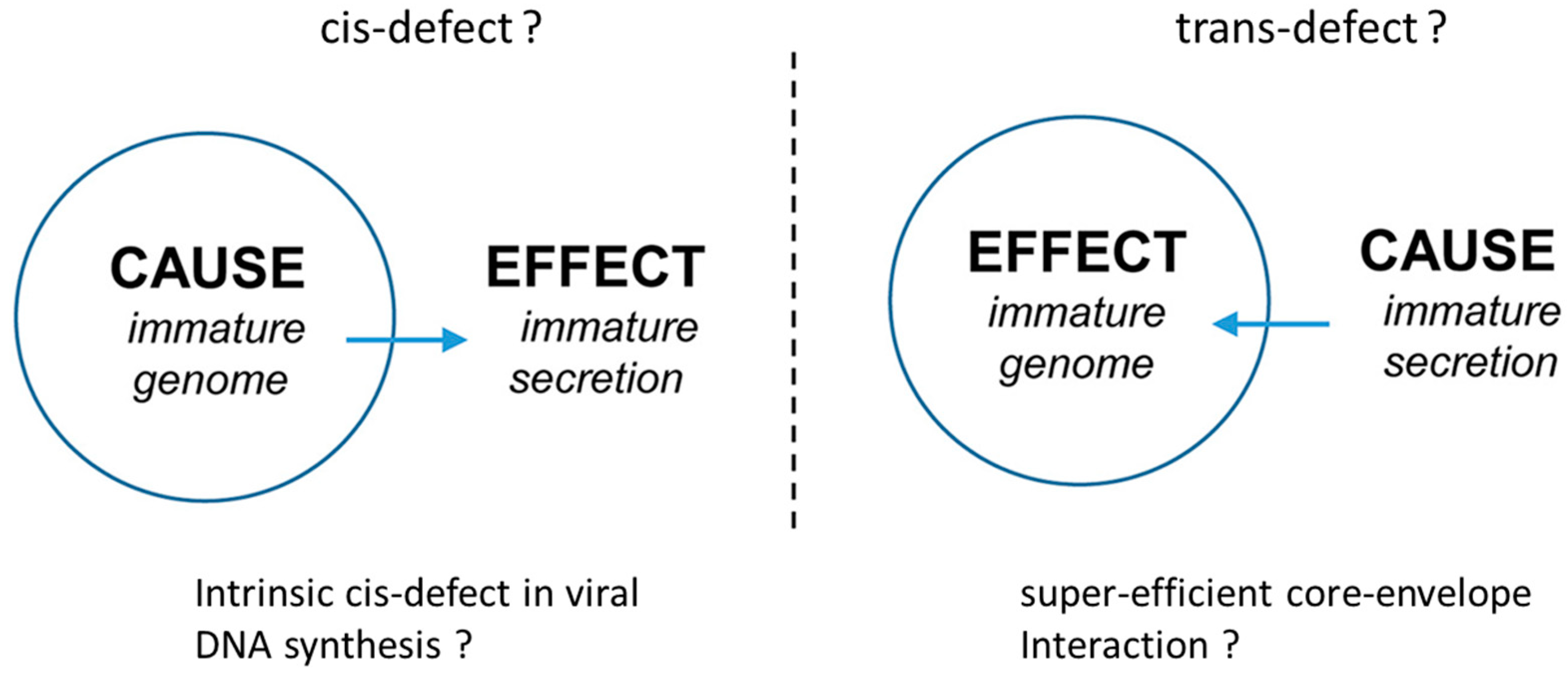 Cells 10 00043 g003 Cells 10 00043 g003