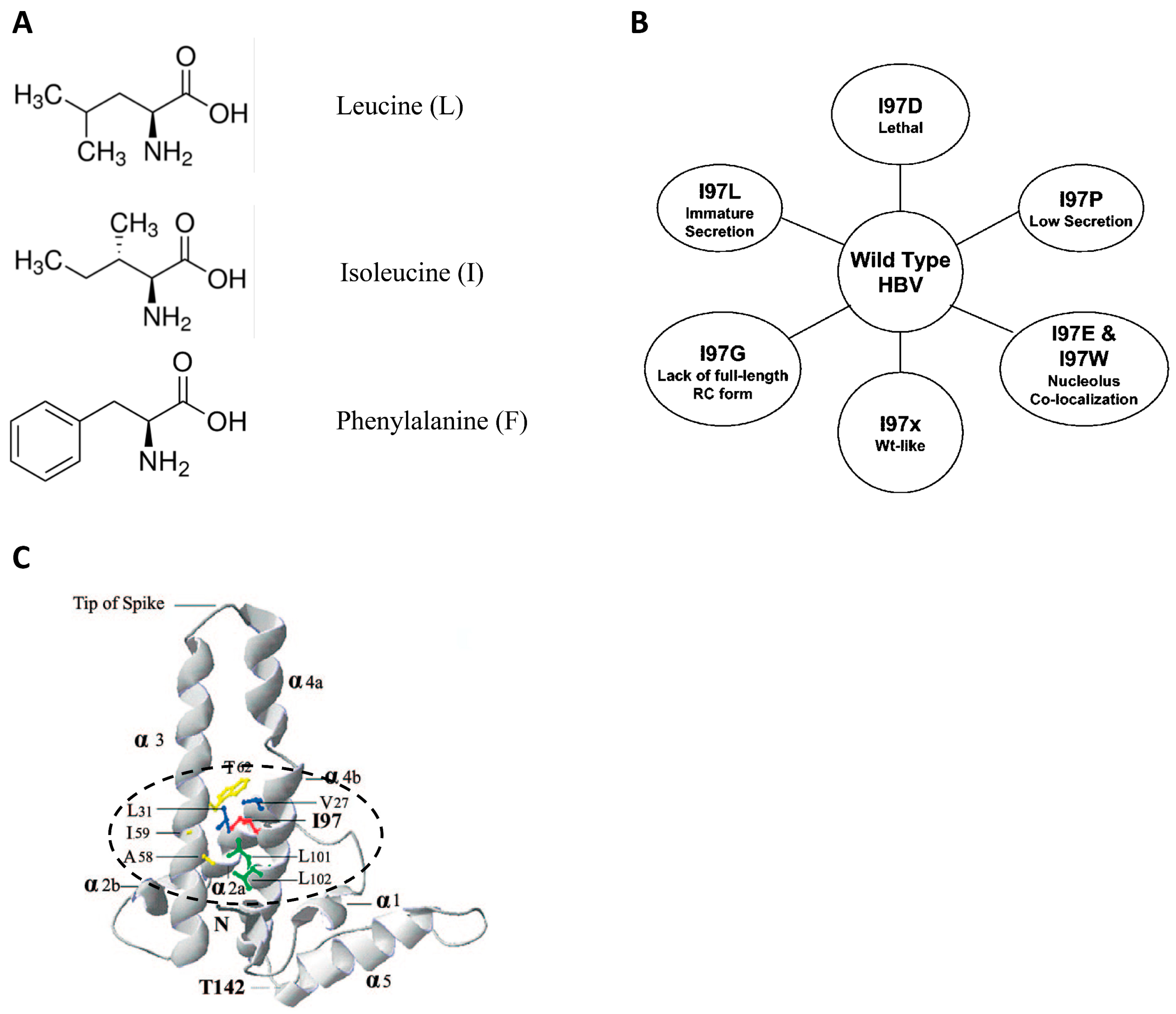 Cells 10 00043 g008 Cells 10 00043 g008