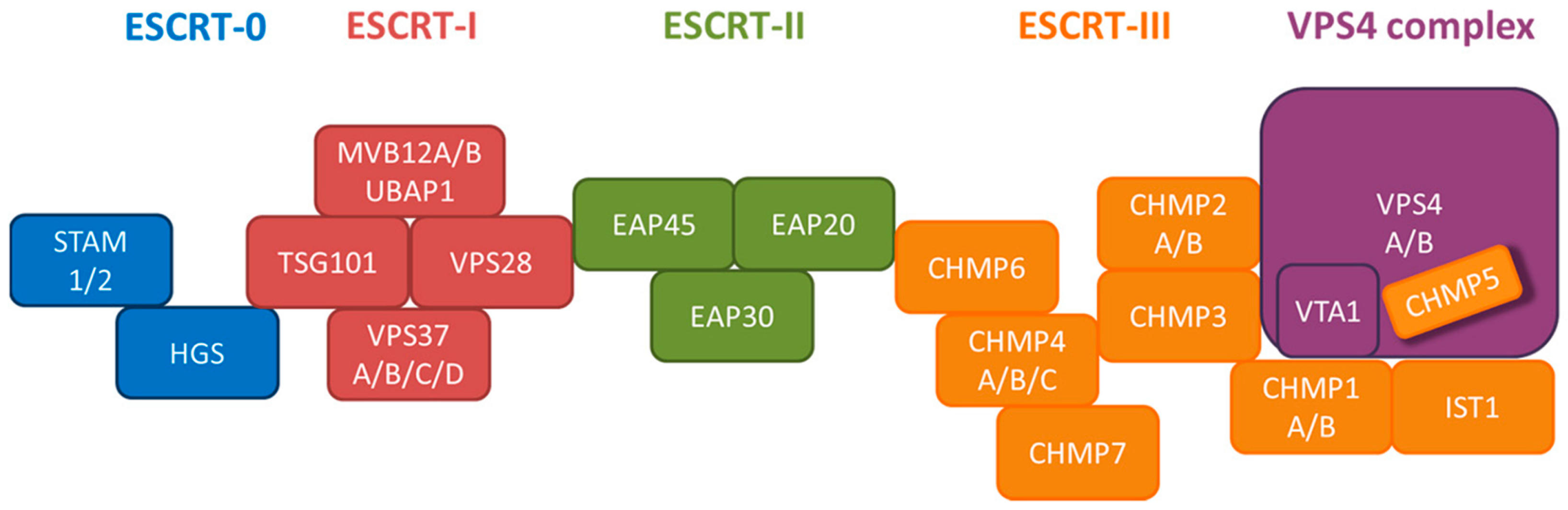 Cells 10 00043 g009 Cells 10 00043 g009