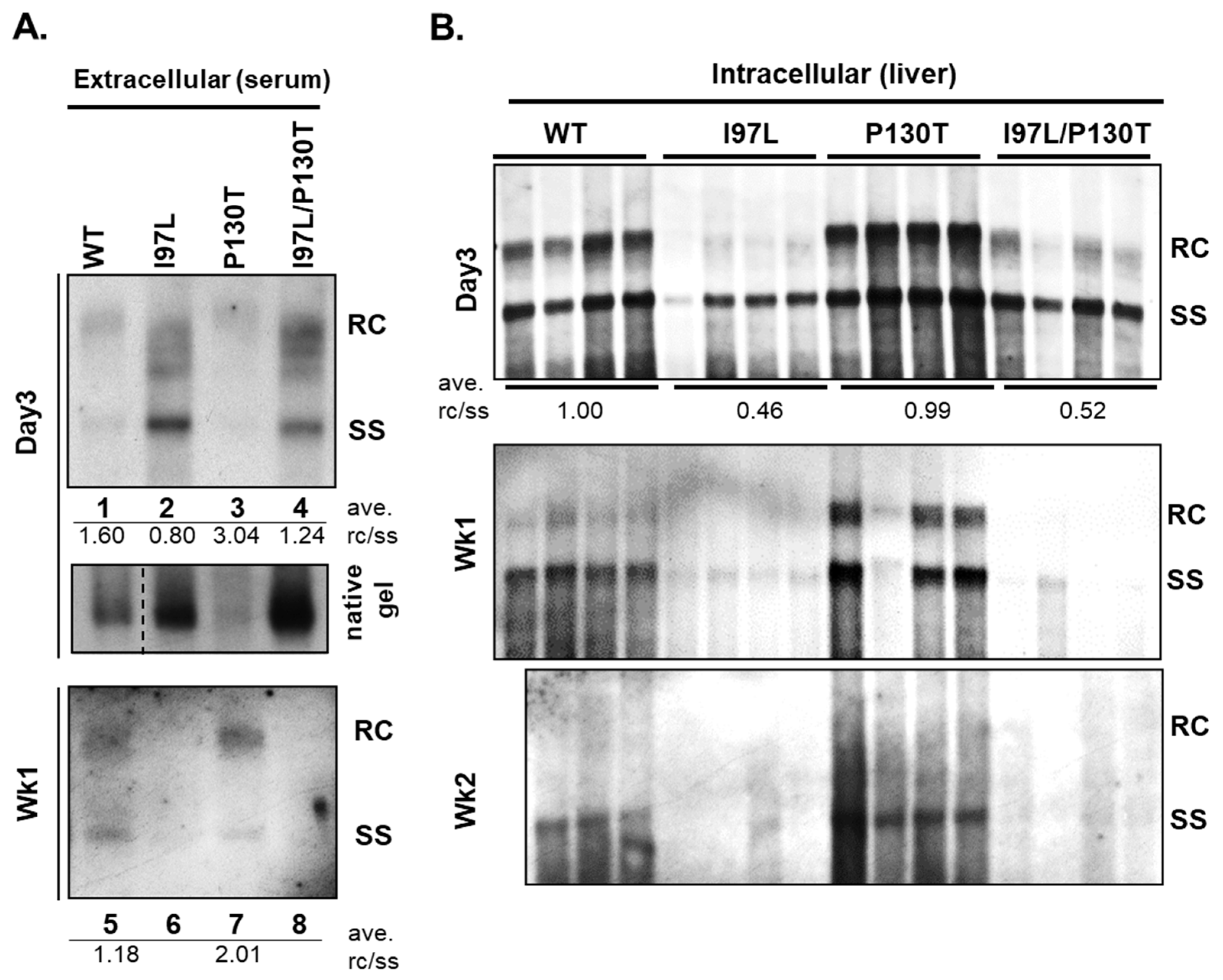 Cells 10 00043 g010 Cells 10 00043 g010