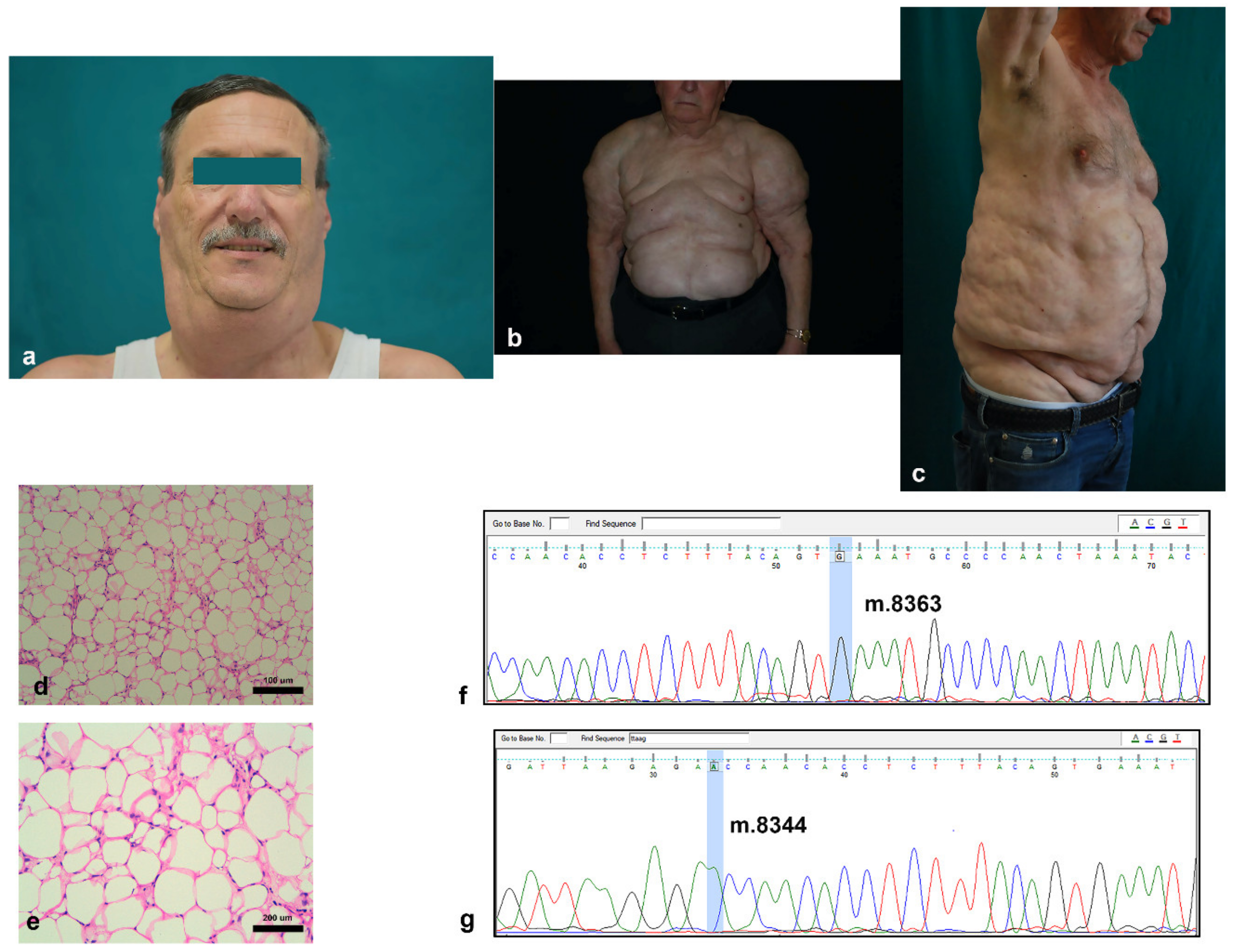 Cells 10 00044 g001 Cells 10 00044 g001
