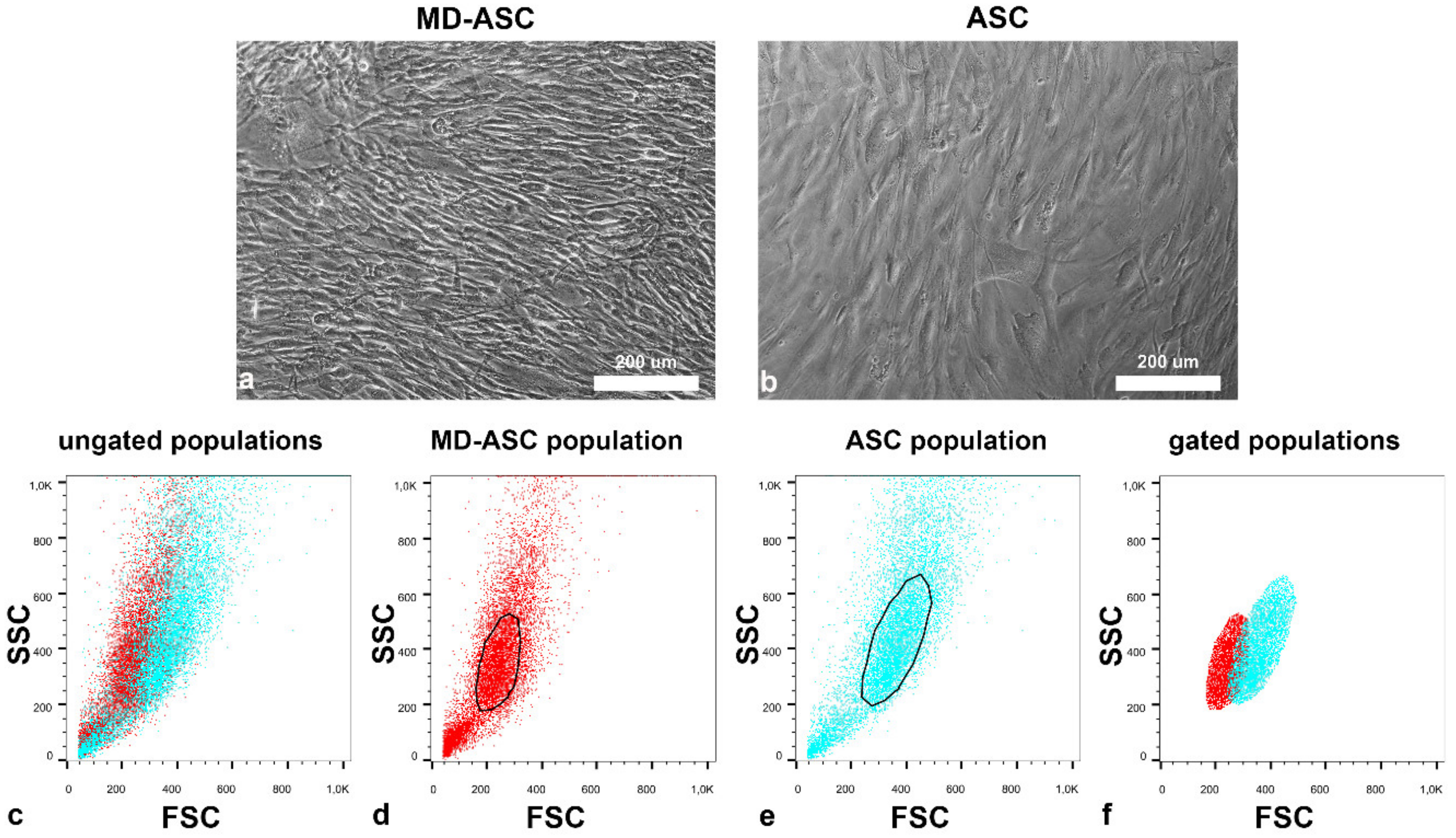 Cells 10 00044 g002 Cells 10 00044 g002