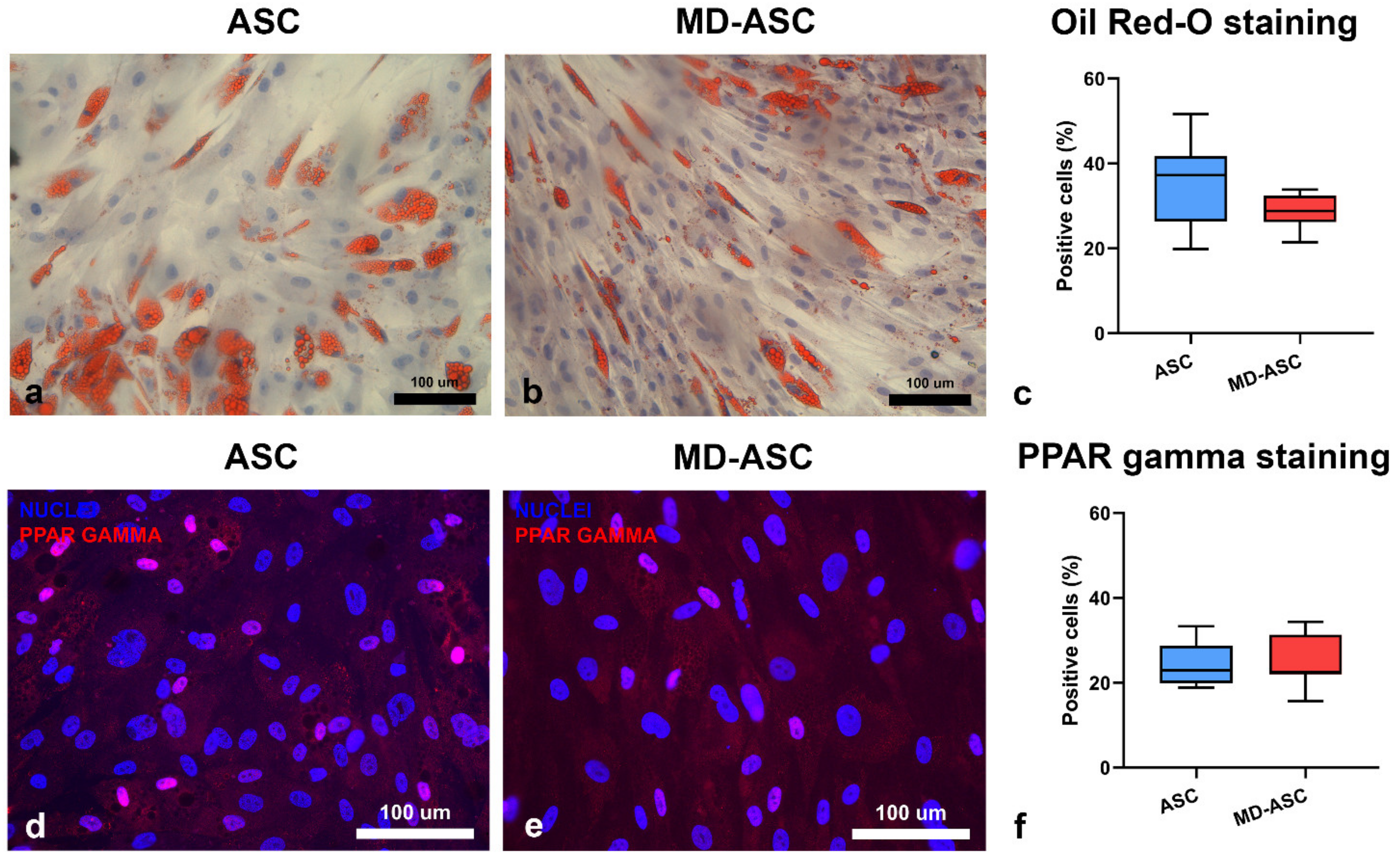 Cells 10 00044 g004 Cells 10 00044 g004