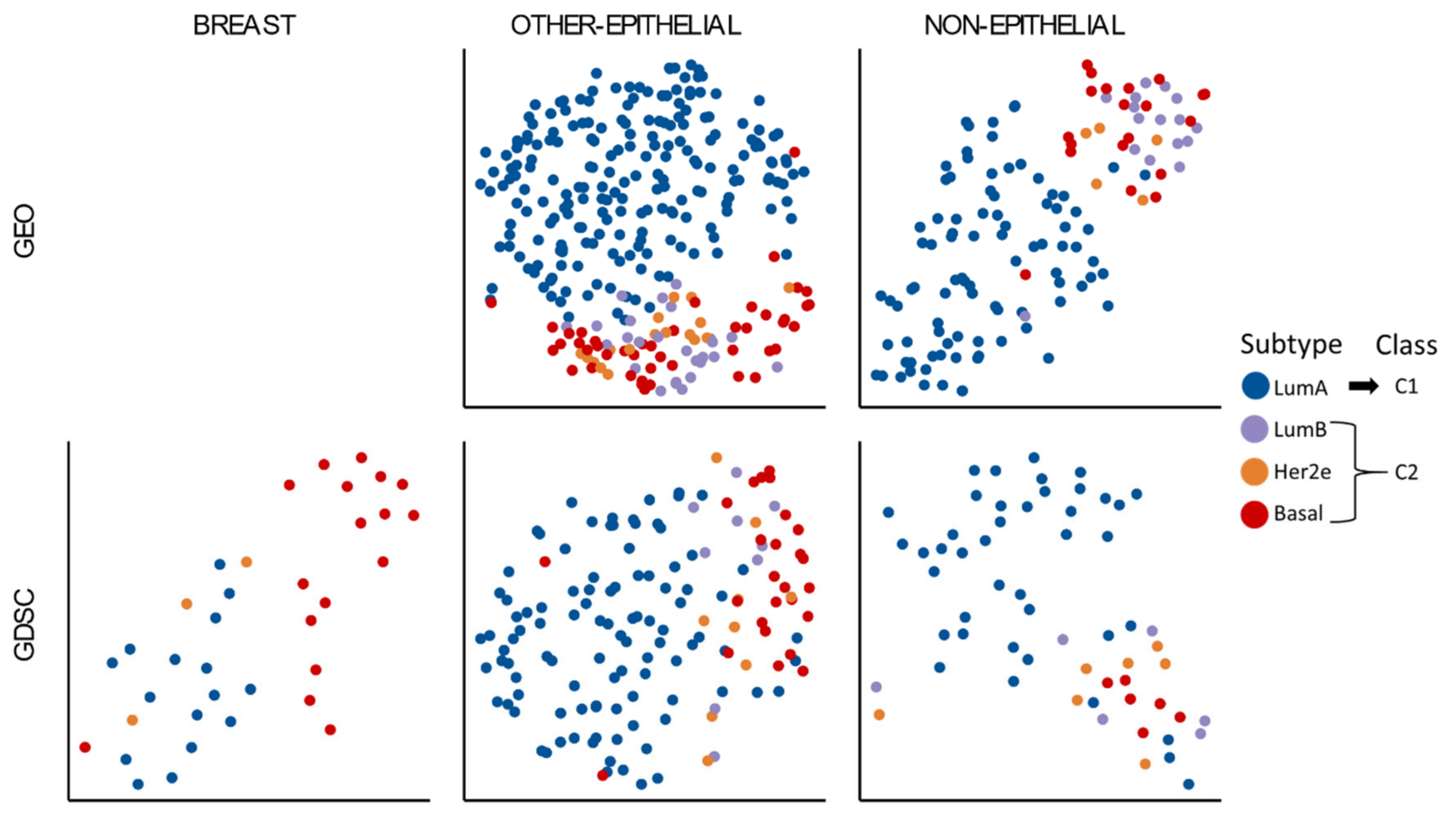 Cells 10 00045 g002 Cells 10 00045 g002