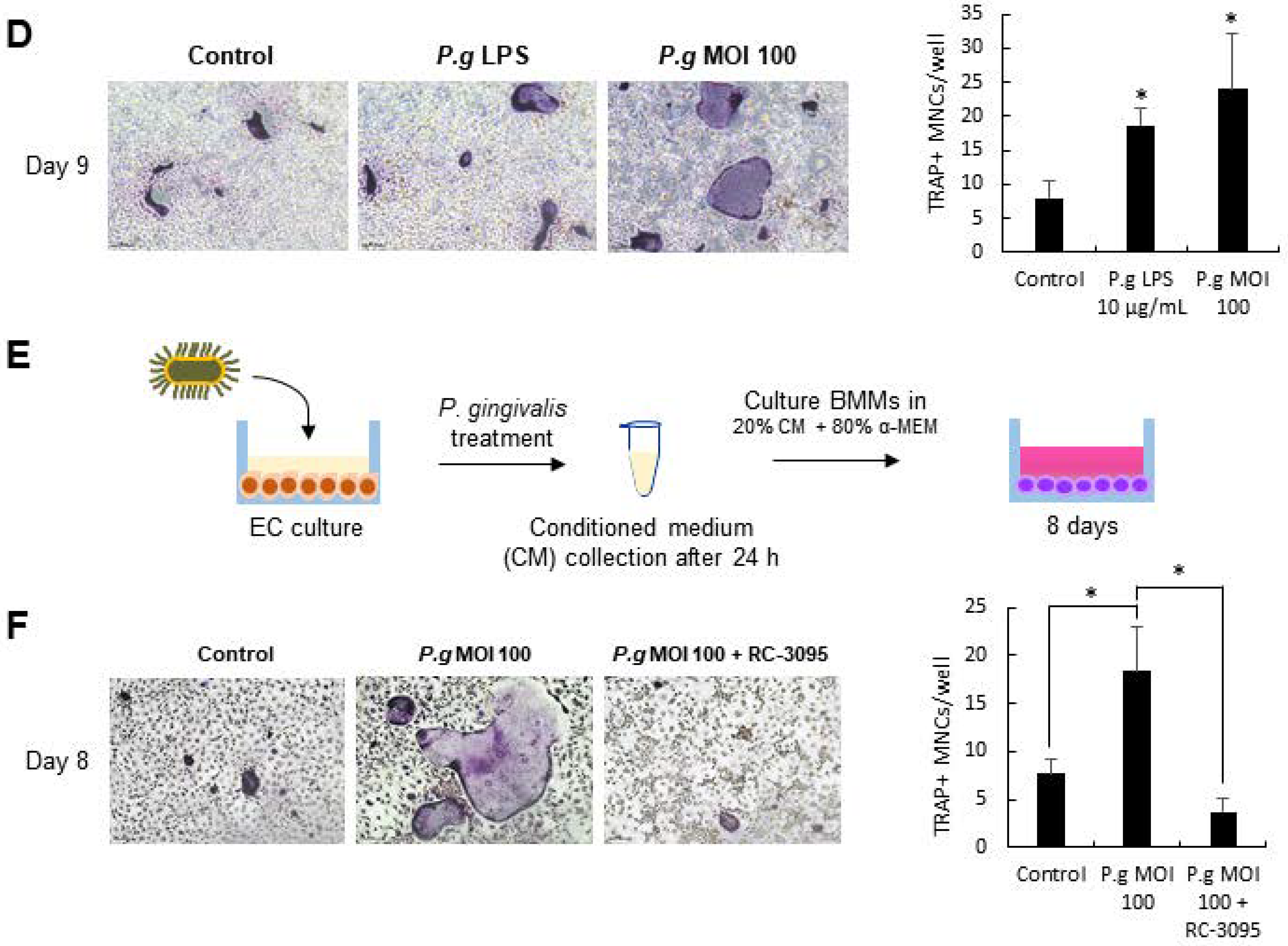 Cells 10 00050 g005b