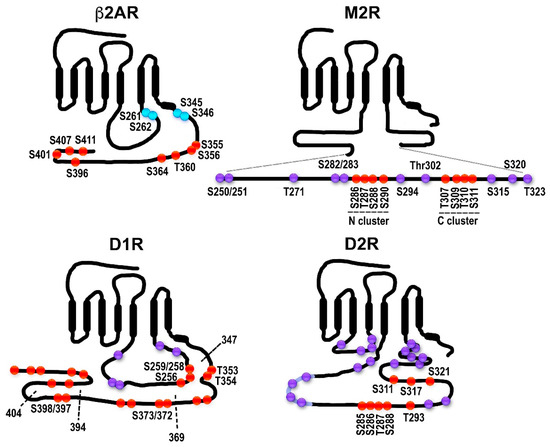 Cells 10 00052 g002 550