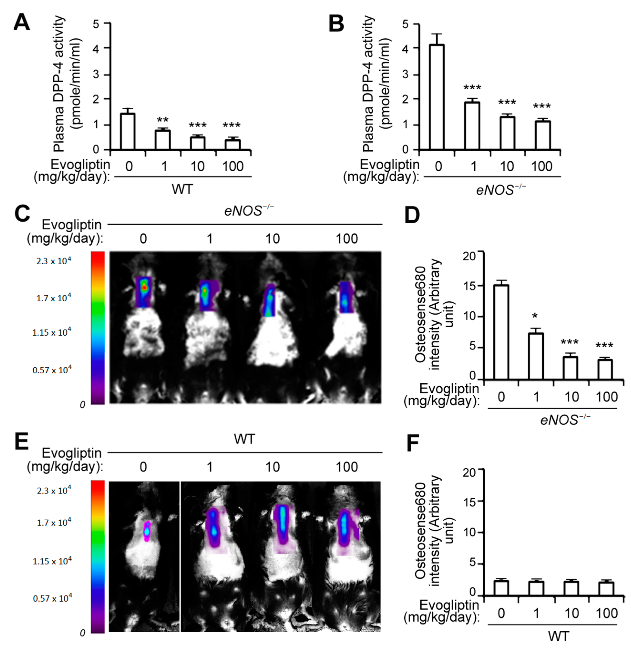 CD26/DPP4 as a Therapeutic Target in Nonalcoholic
