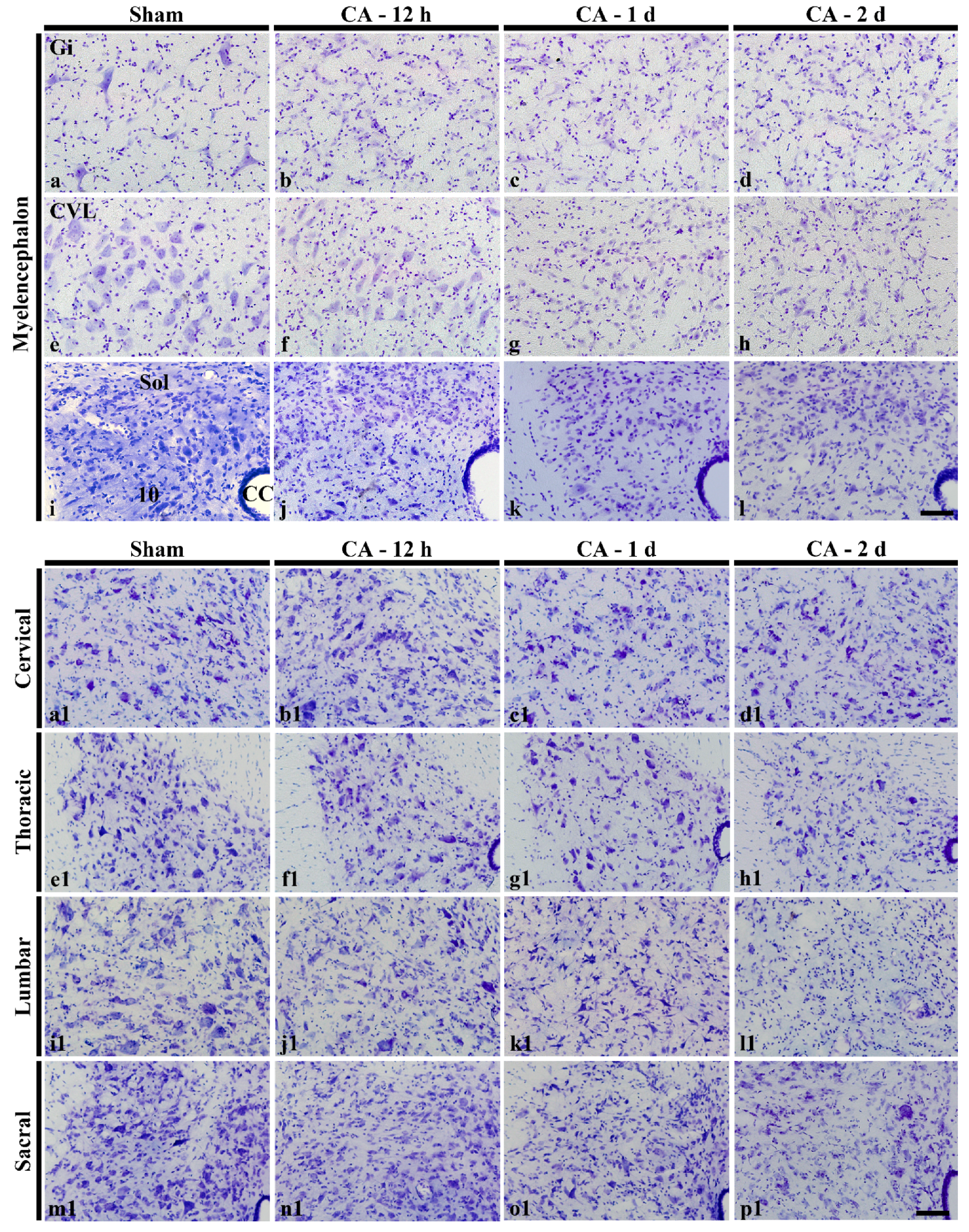 Cells 10 00060 g002 Cells 10 00060 g002