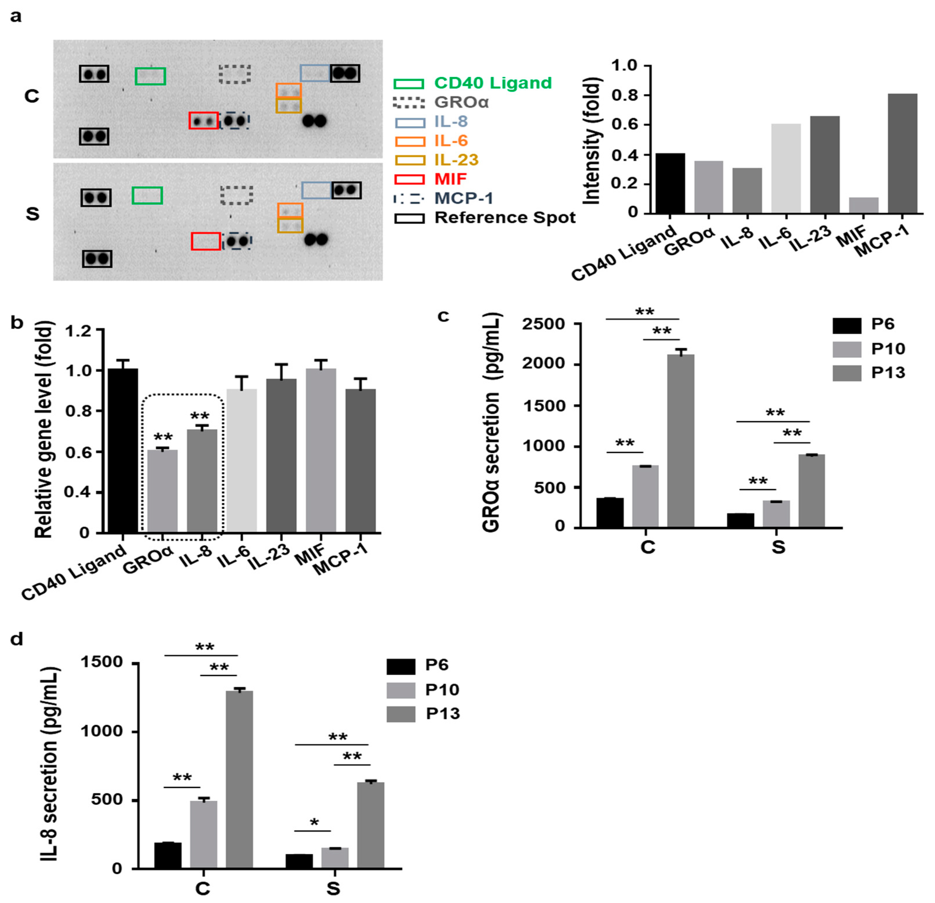 Cells 10 00063 g002 Cells 10 00063 g002