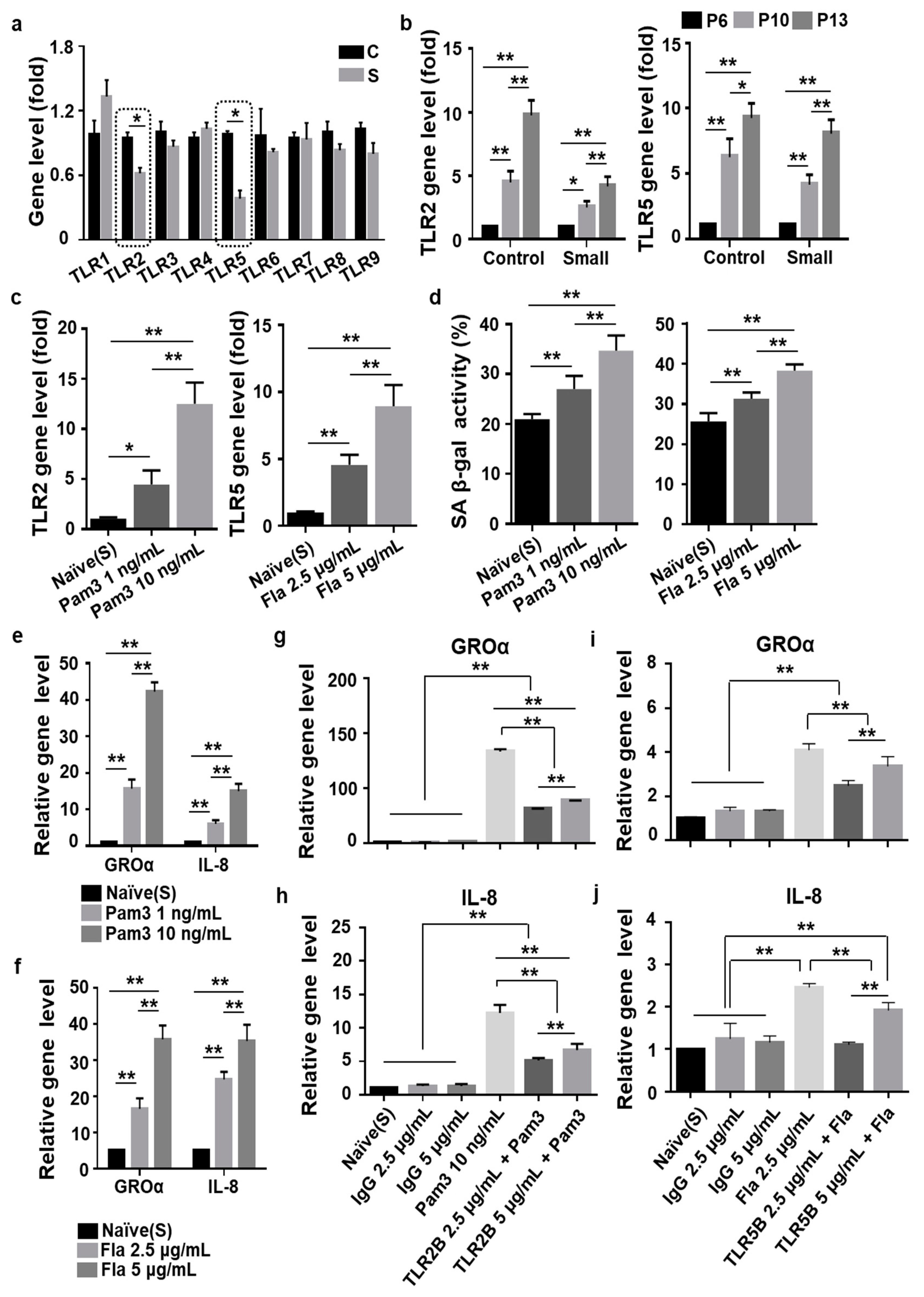 Cells 10 00063 g005 Cells 10 00063 g005