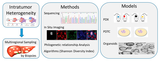 Cells 10 00070 g002 550