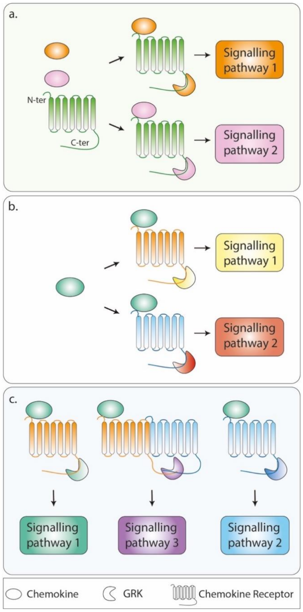 Cells 10 00075 g001 Cells 10 00075 g001