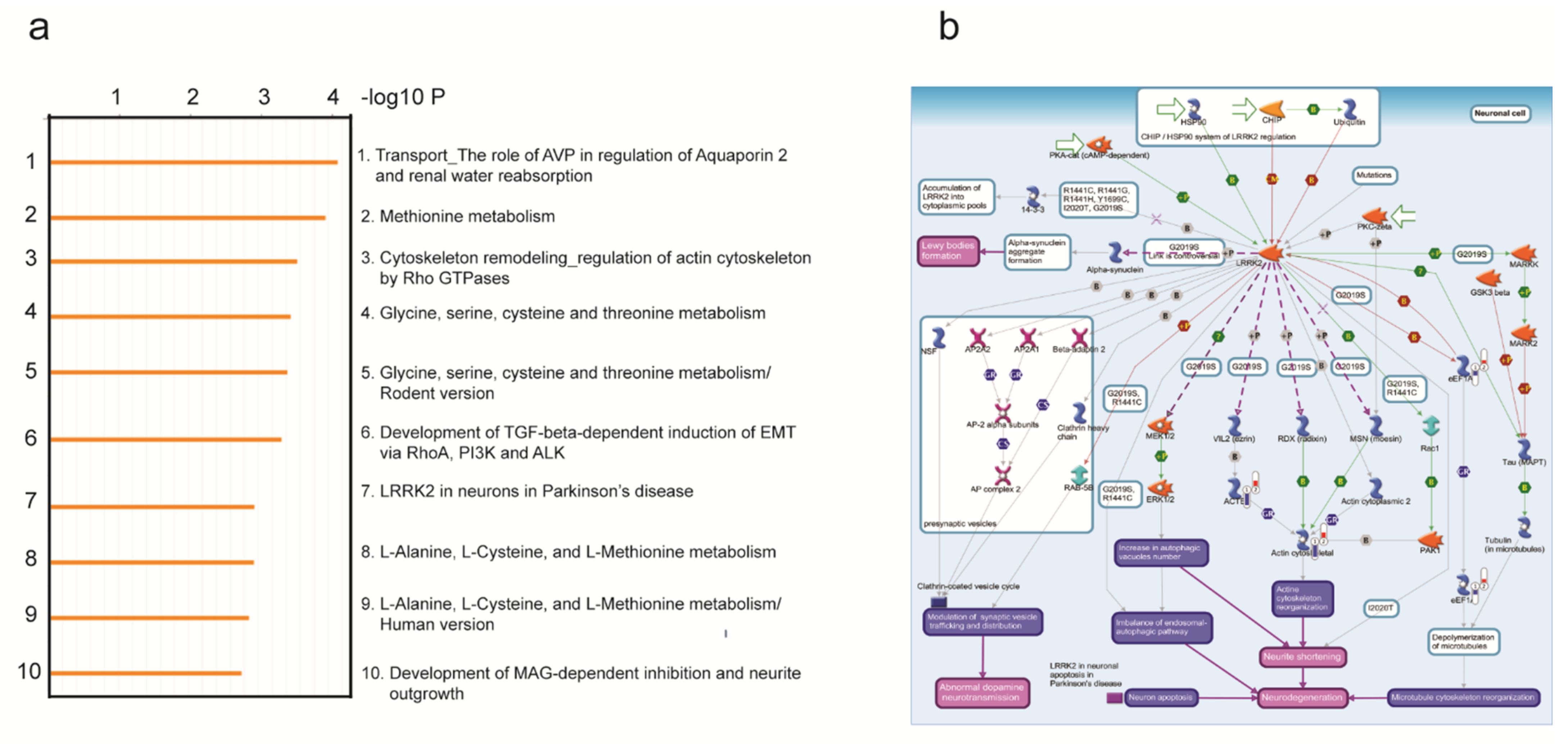 Identification of Targets from LRRK2 Rescue Phenotypes