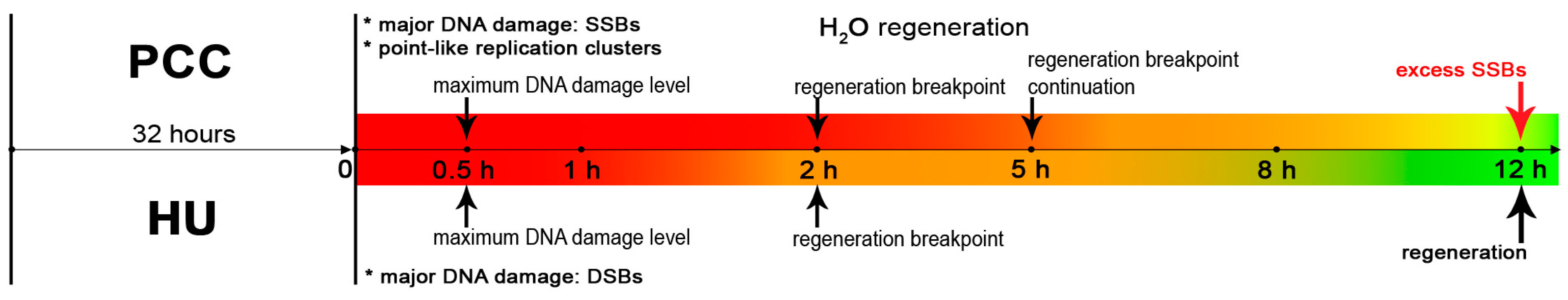 Cells 10 00088 g008 Cells 10 00088 g008