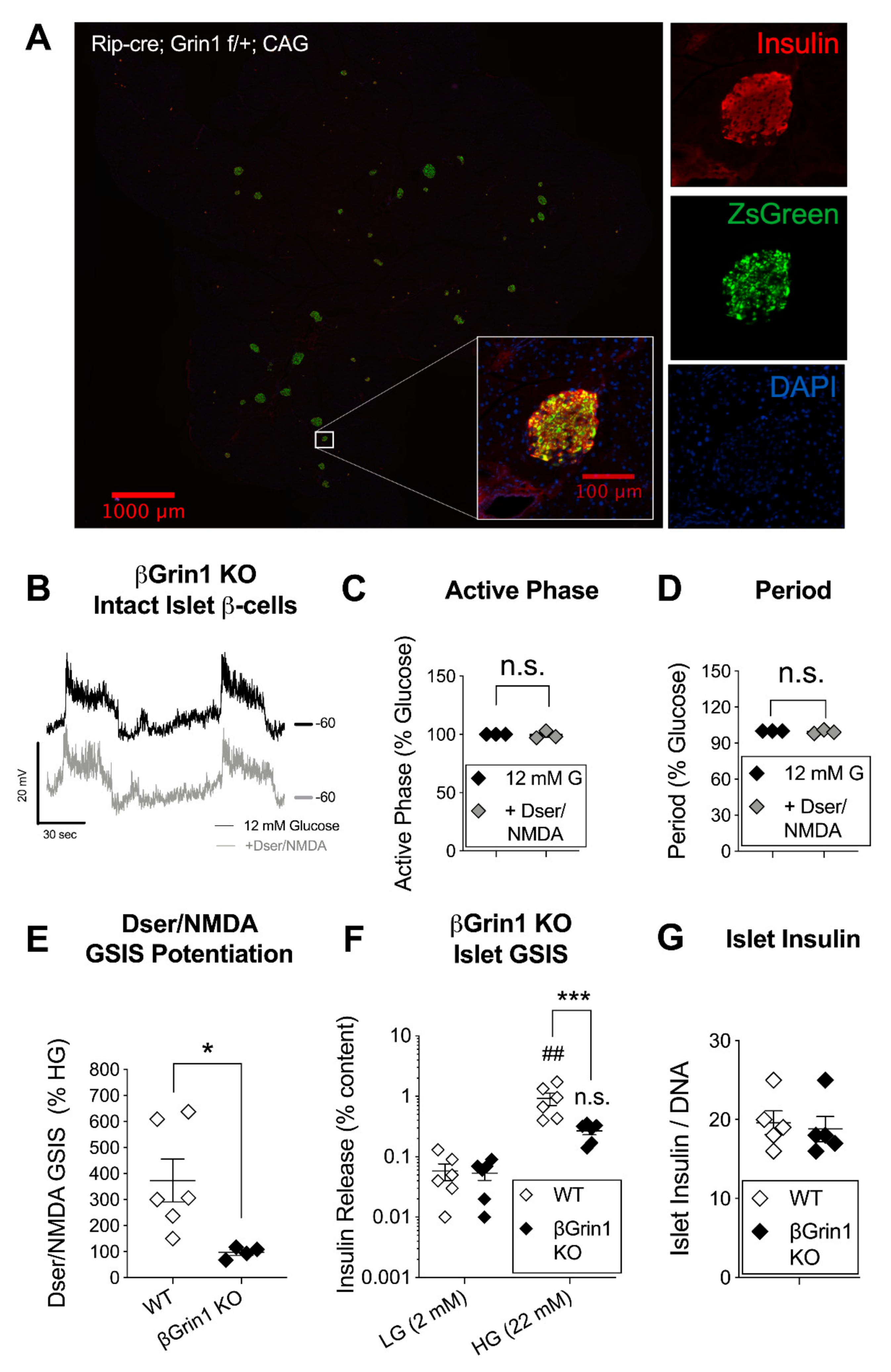 Cells 10 00093 g003 Cells 10 00093 g003
