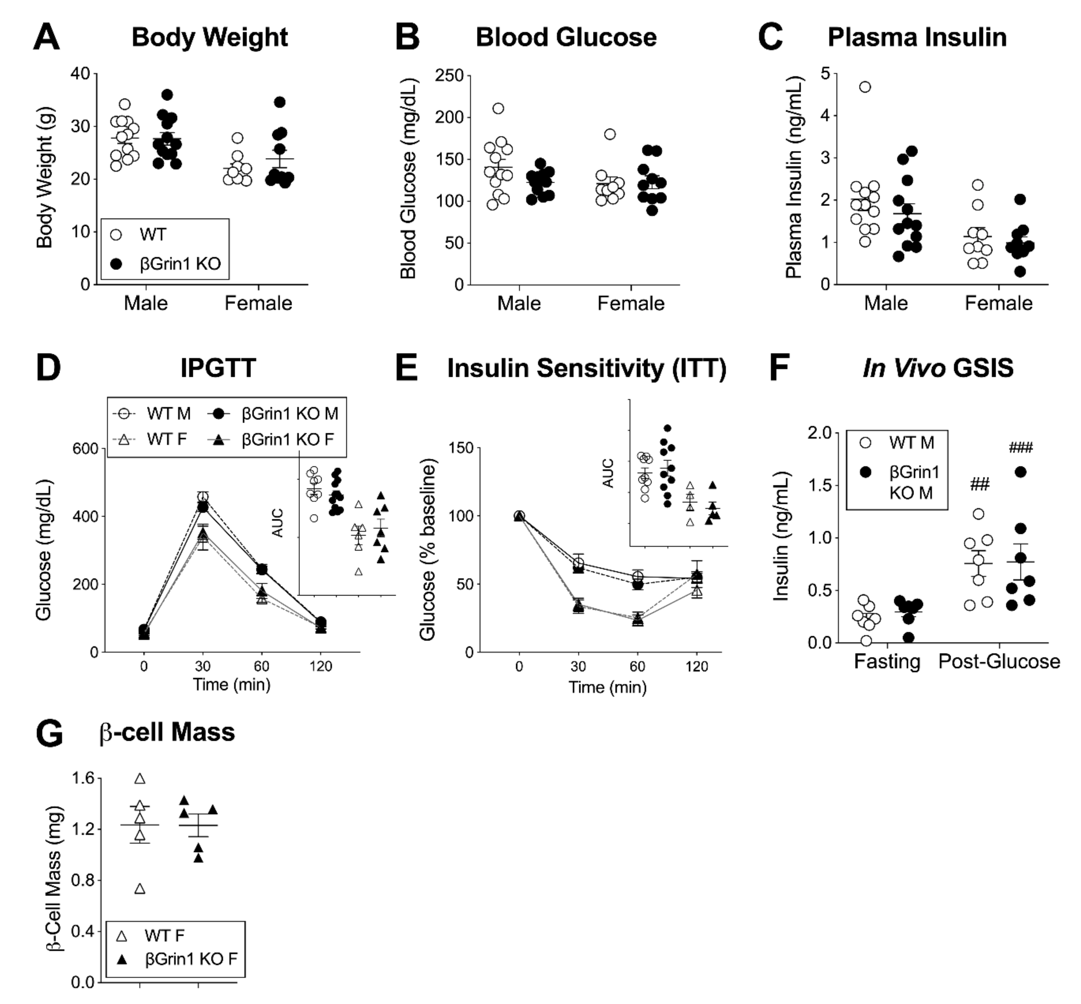 Cells 10 00093 g004 Cells 10 00093 g004