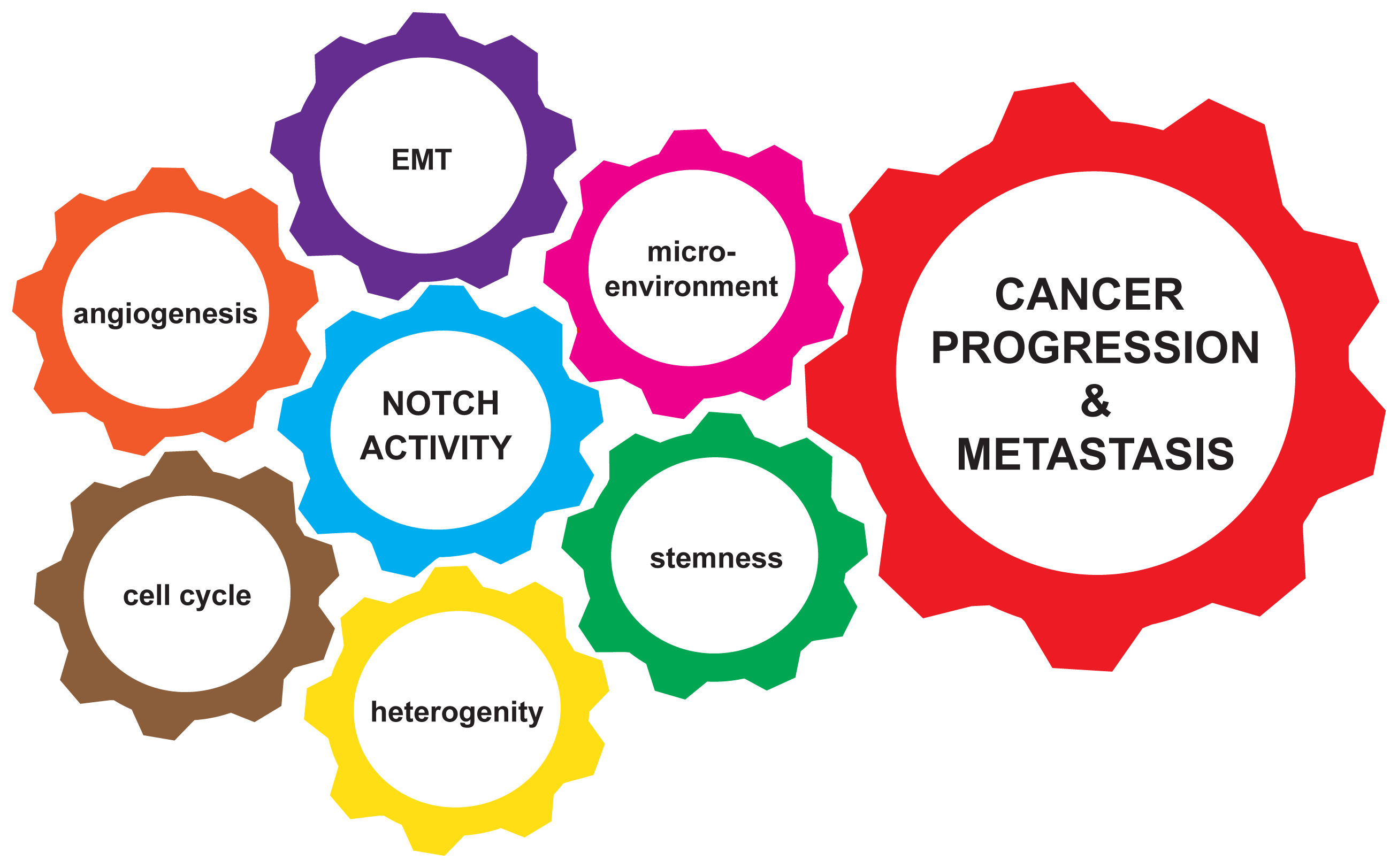How To Read Spirometry For Copd