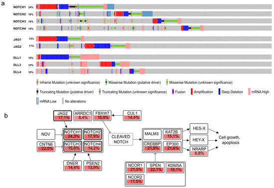 Facebookページ Context Matters: NOTCH Signatures and Pathway in Cancer
