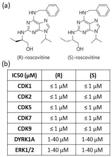 Cellular and Molecular Mechanisms of R/S-Roscovitine and CDKs
