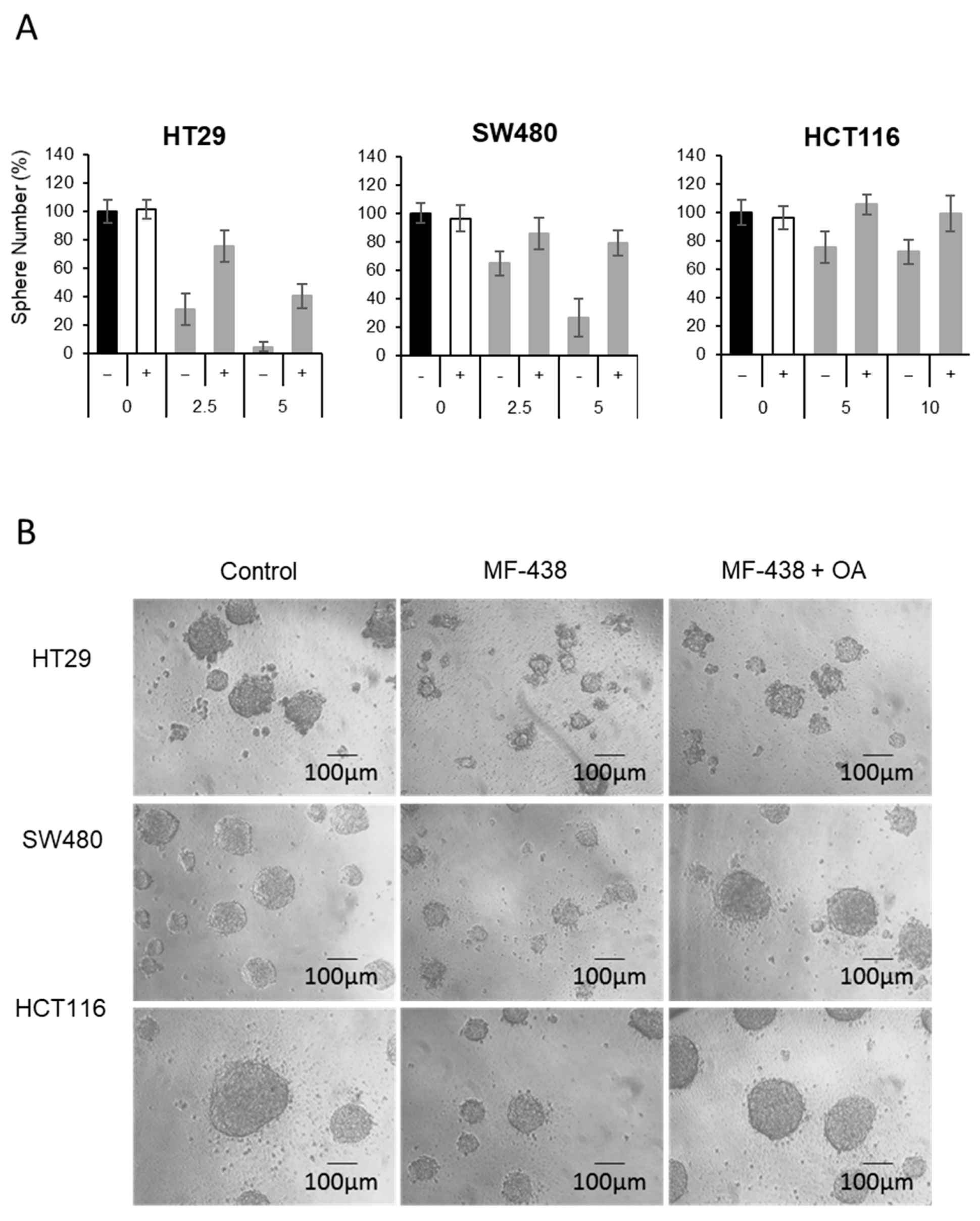 Cells 10 00106 g005 Cells 10 00106 g005