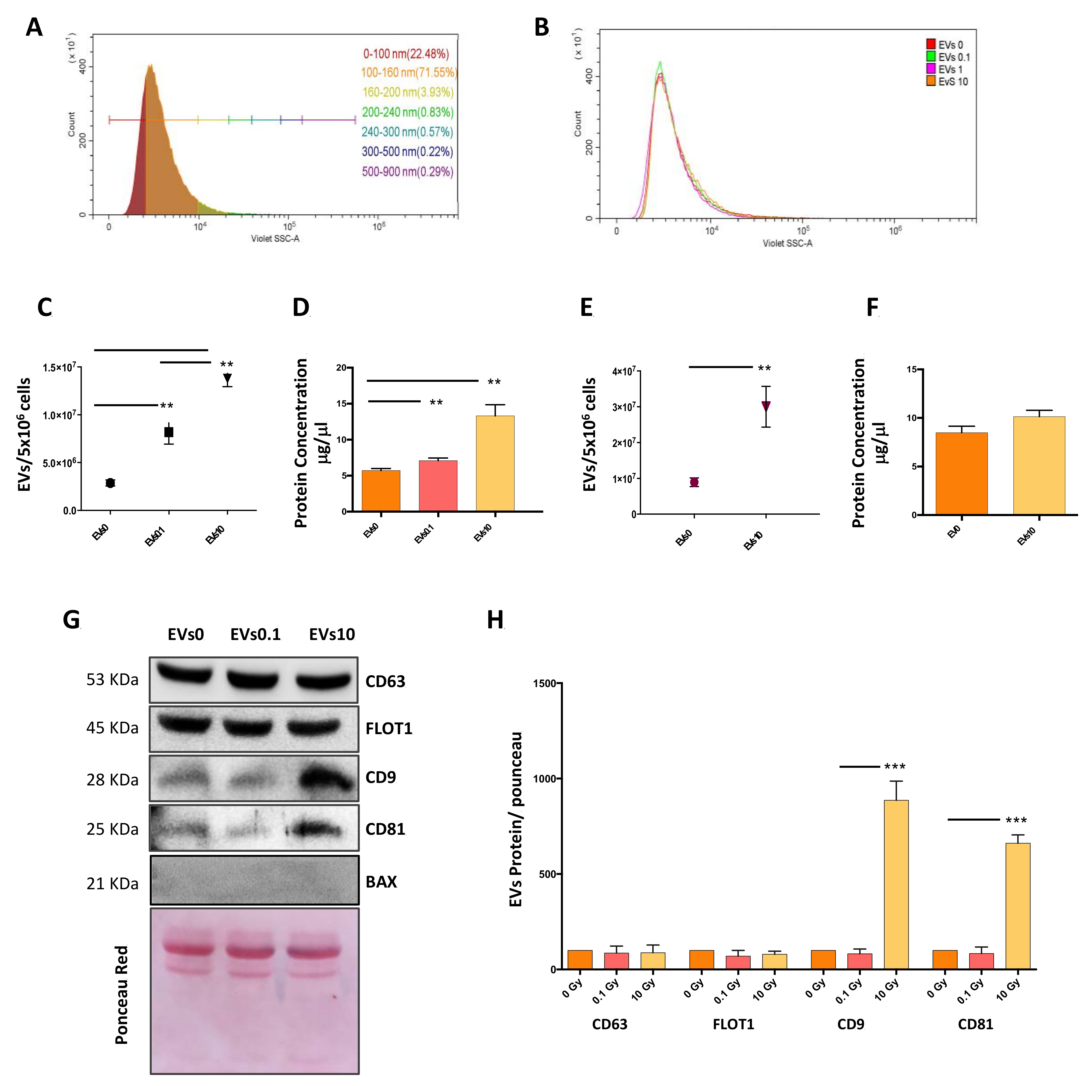 Cells 10 00107 g001 Cells 10 00107 g001