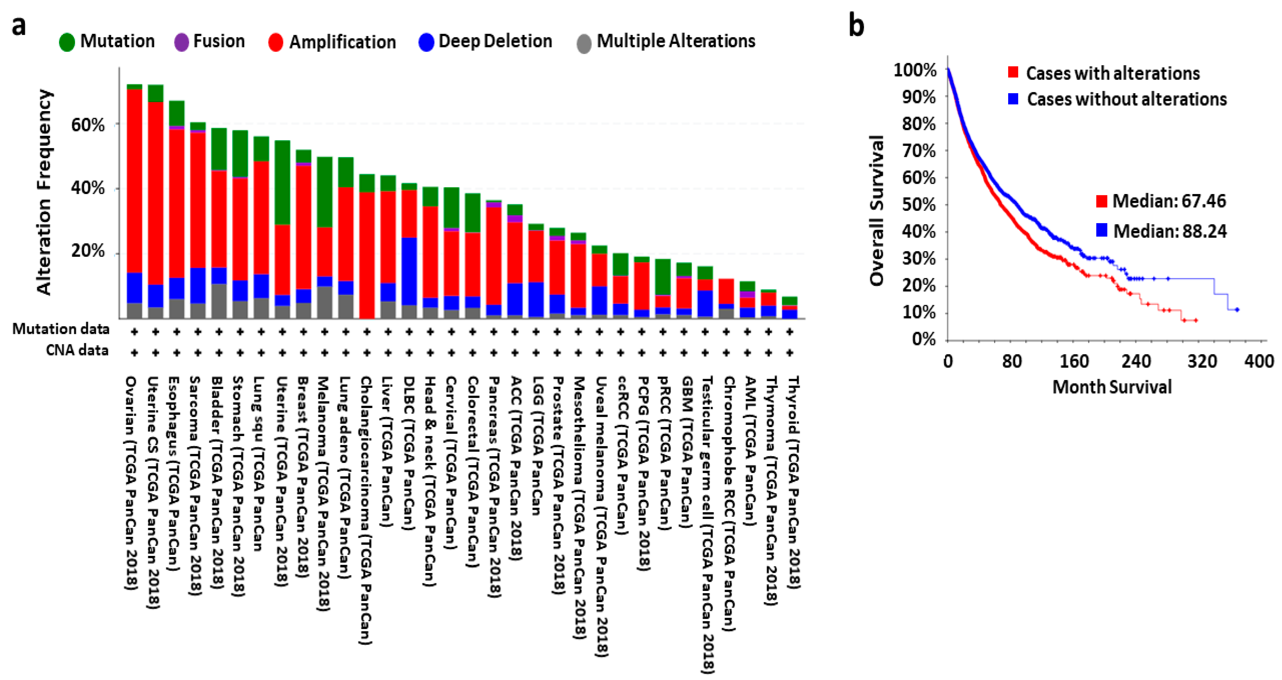 Cells 10 00110 g001 Cells 10 00110 g001