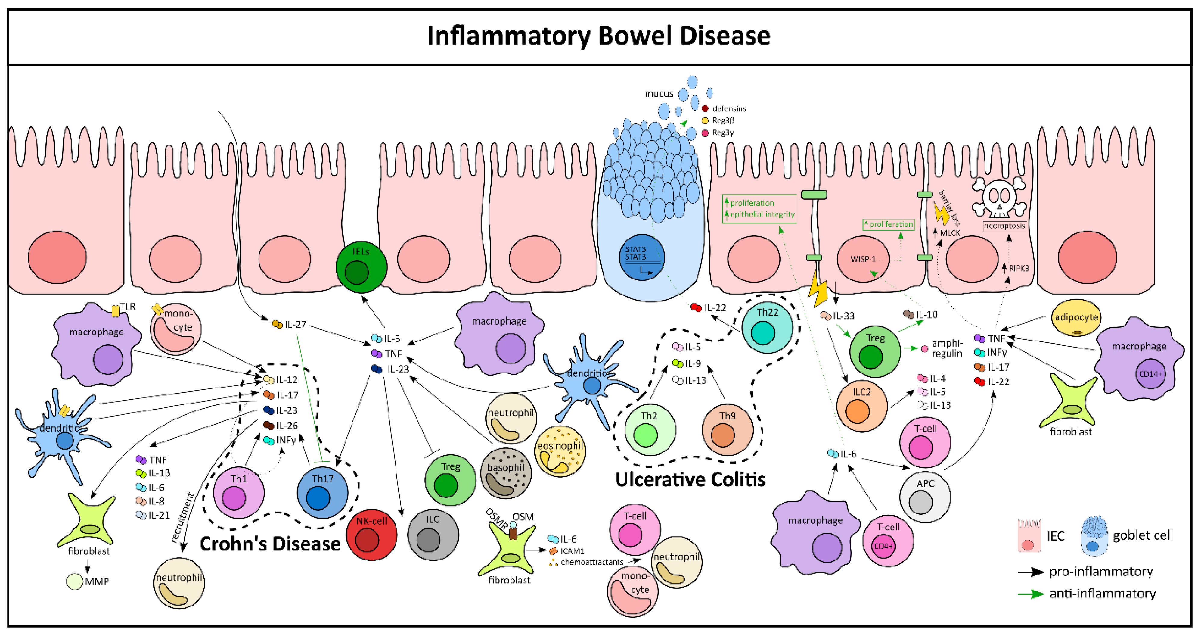 Cells 10 00111 g003 Cells 10 00111 g003