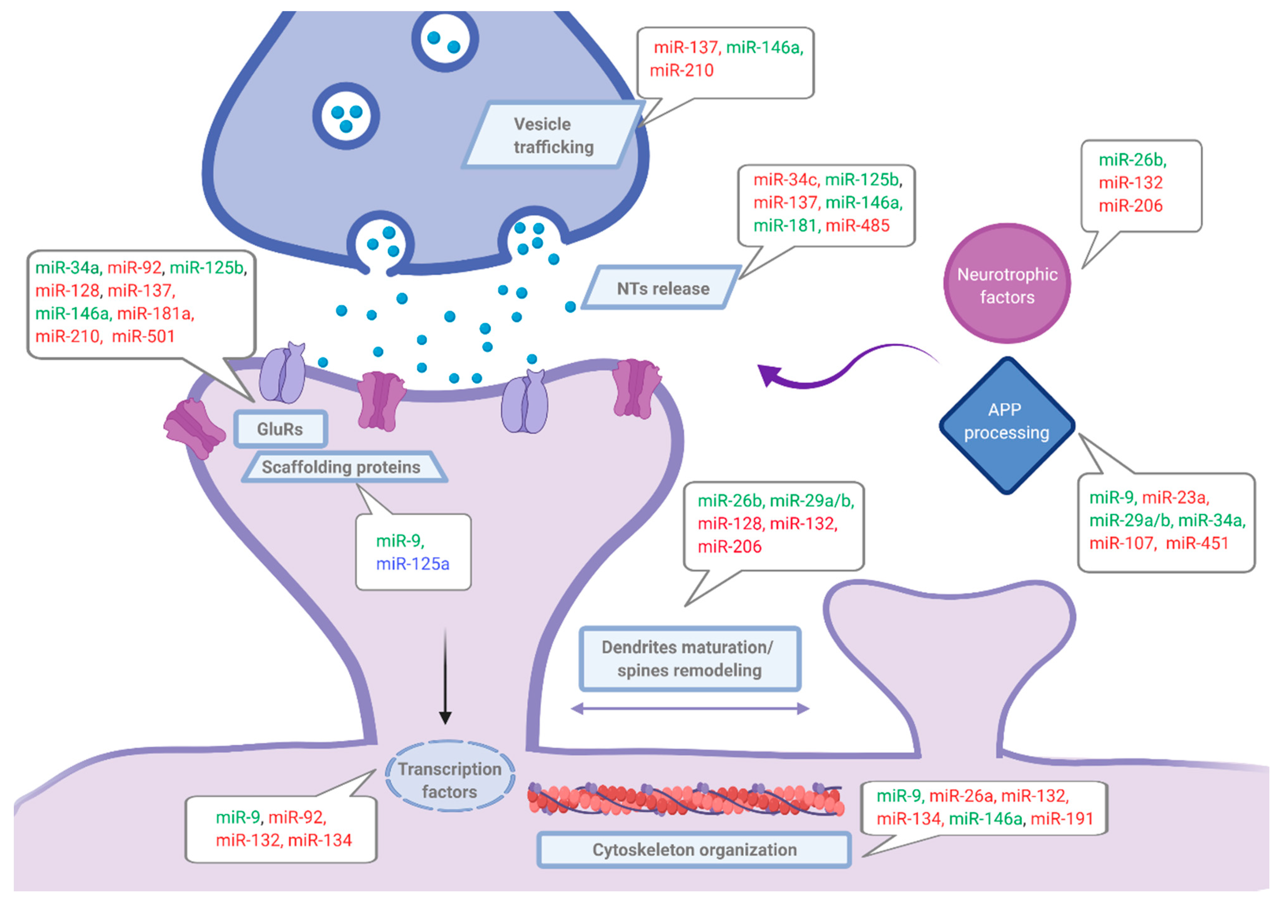 Cells 10 00113 g002 Cells 10 00113 g002