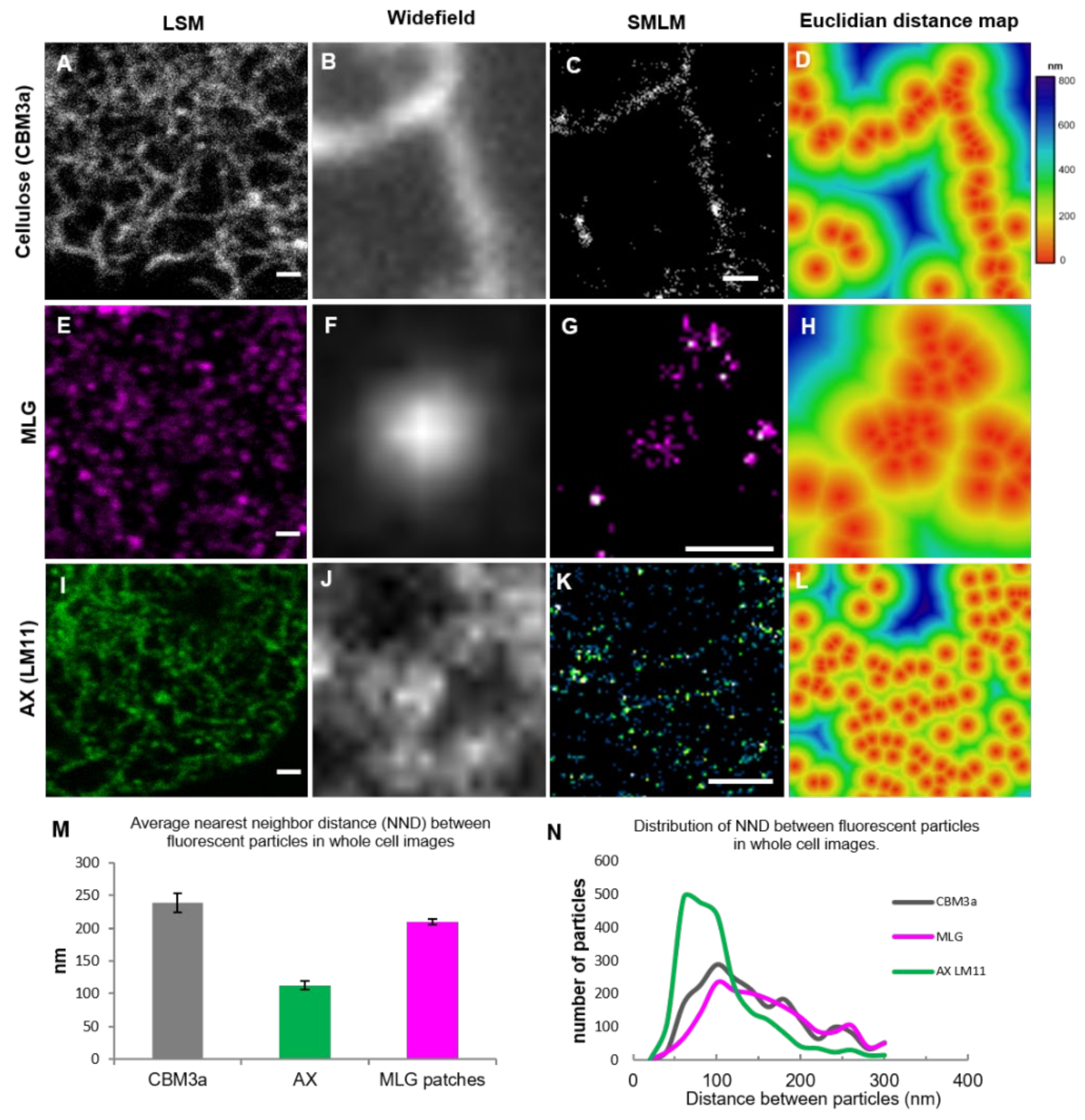 Cells 10 00127 g005 Cells 10 00127 g005