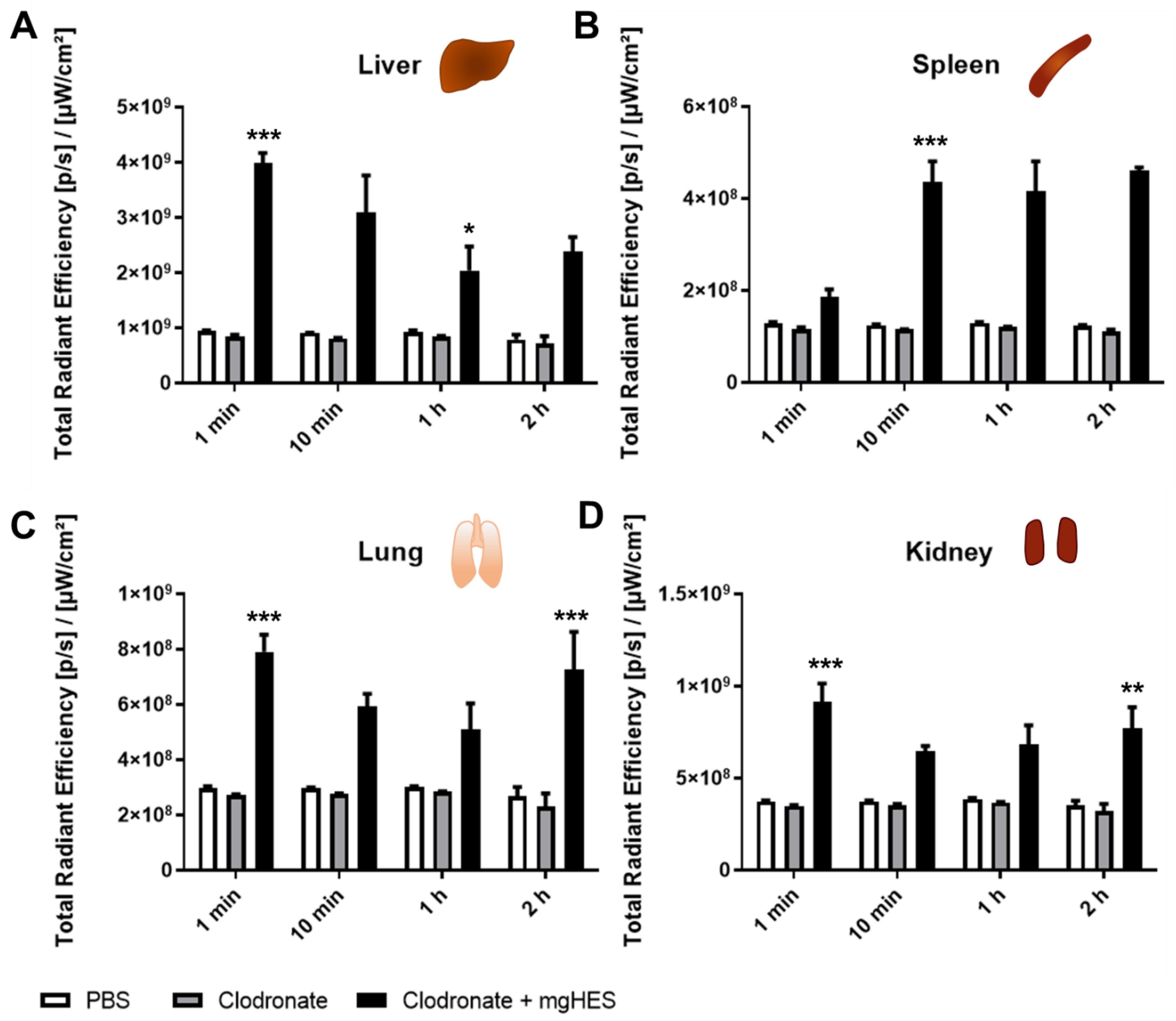 Cells 10 00132 g005 Cells 10 00132 g005