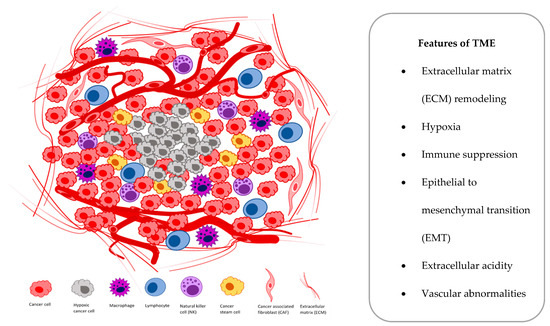 Cells 10 00141 g001 550