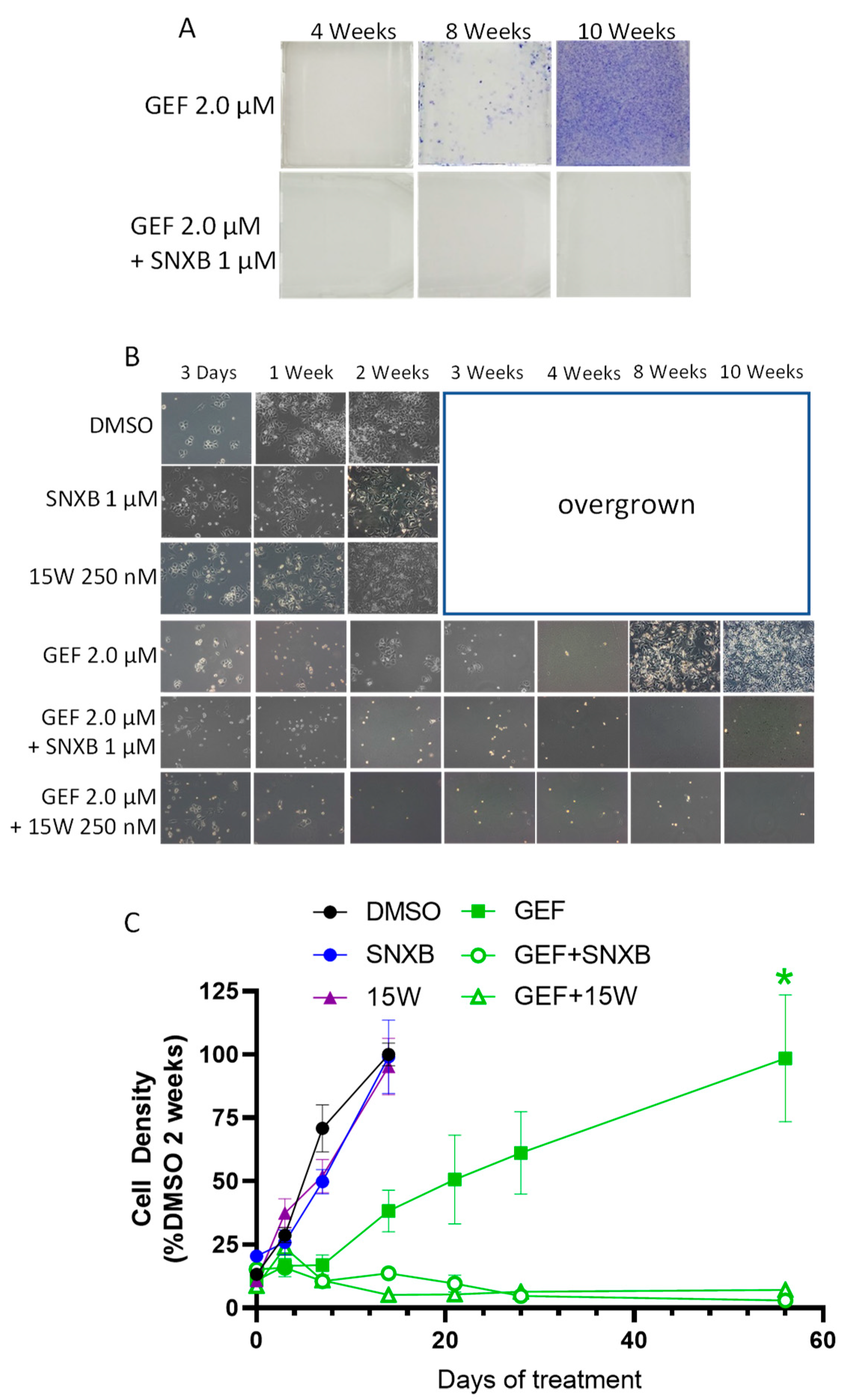 Cells 10 00144 g002 Cells 10 00144 g002
