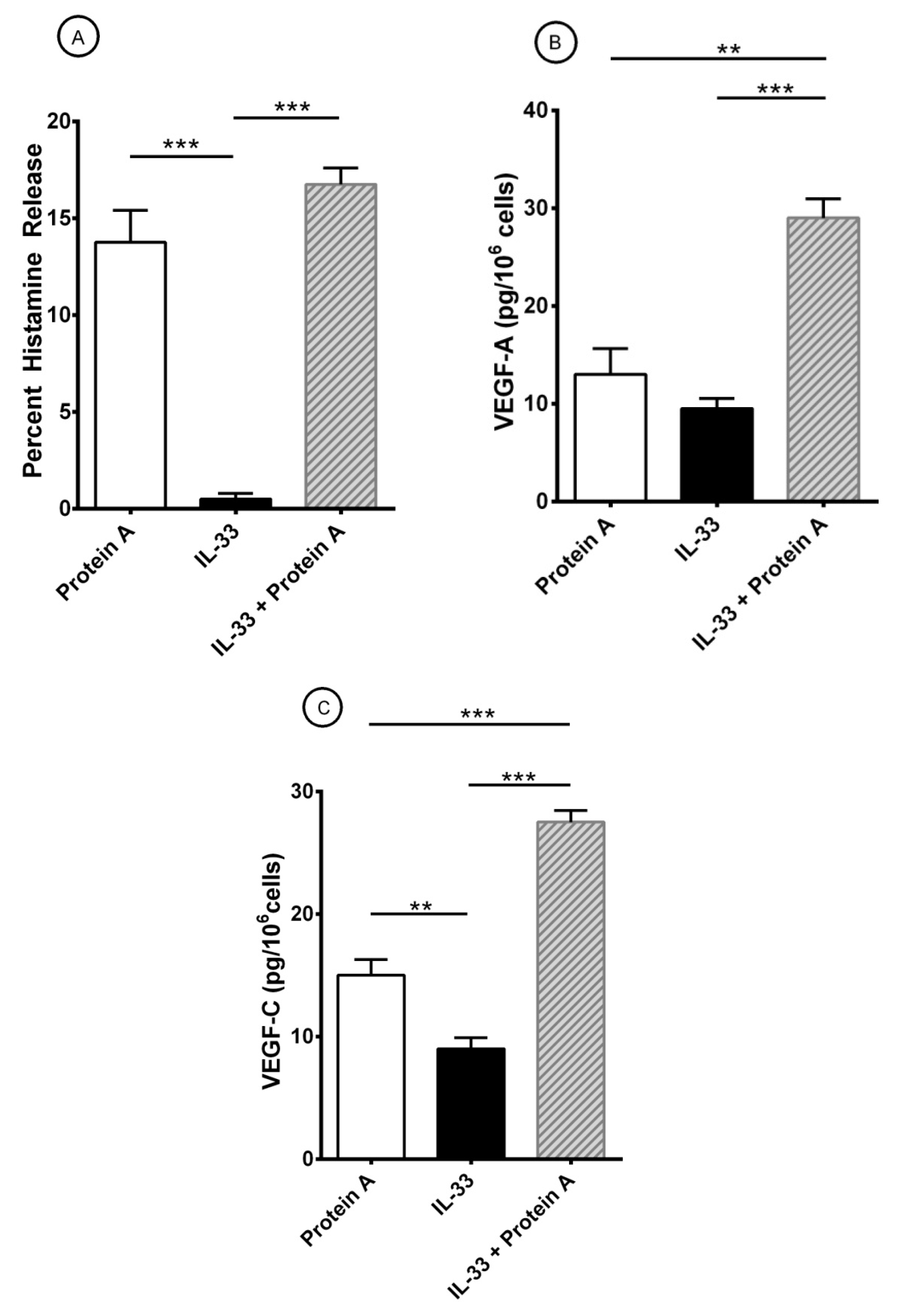 Cells 10 00145 g004 Cells 10 00145 g004