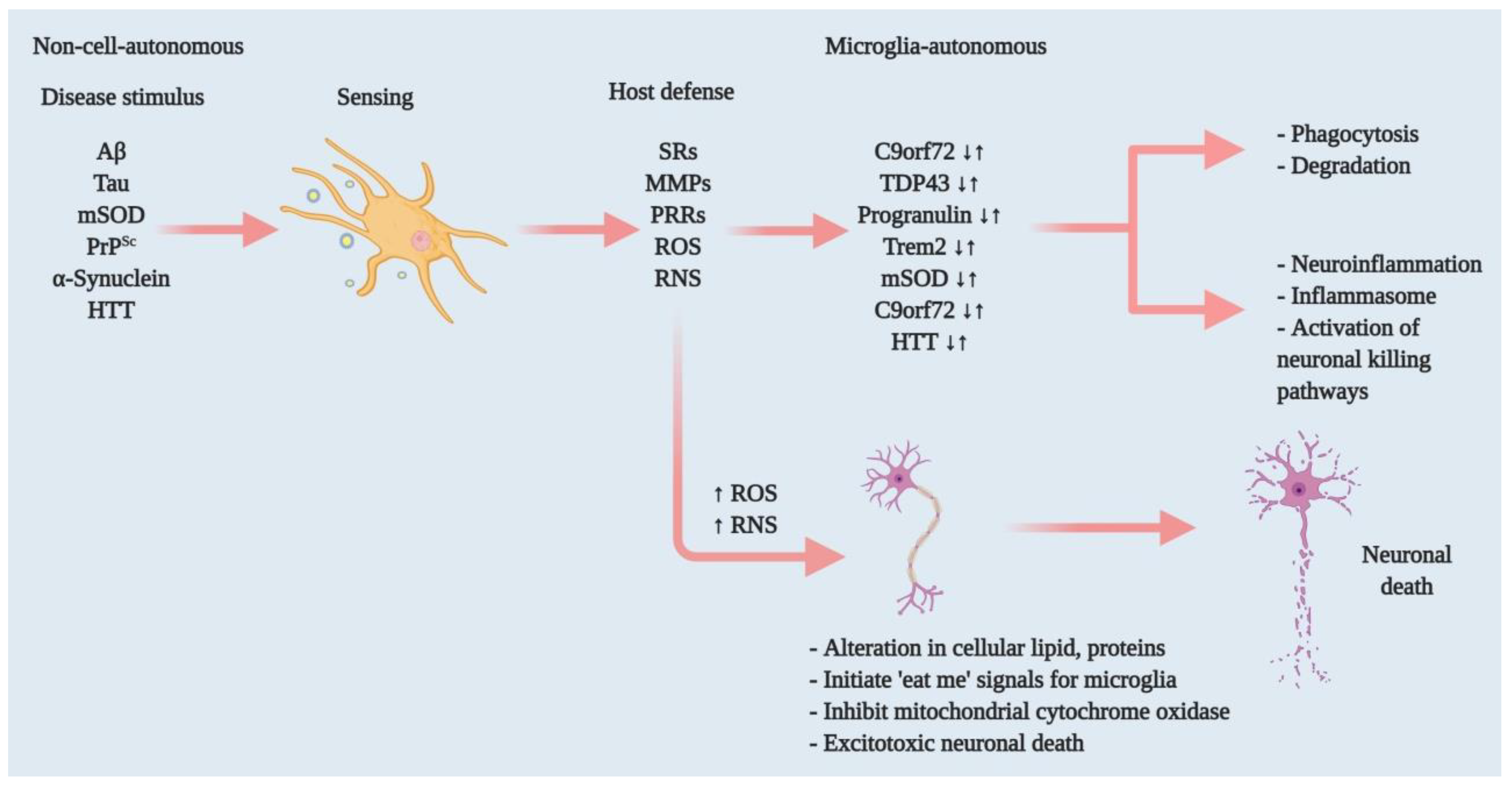 Cells 10 00150 g001 Cells 10 00150 g001