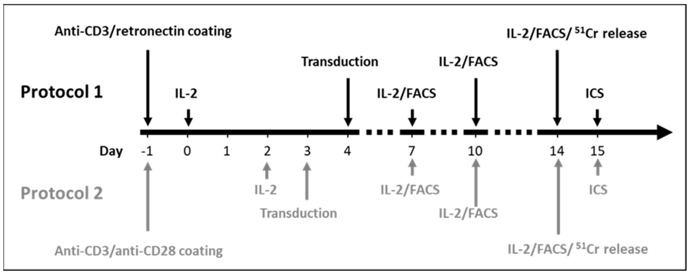 Cells 10 00152 g001 Cells 10 00152 g001