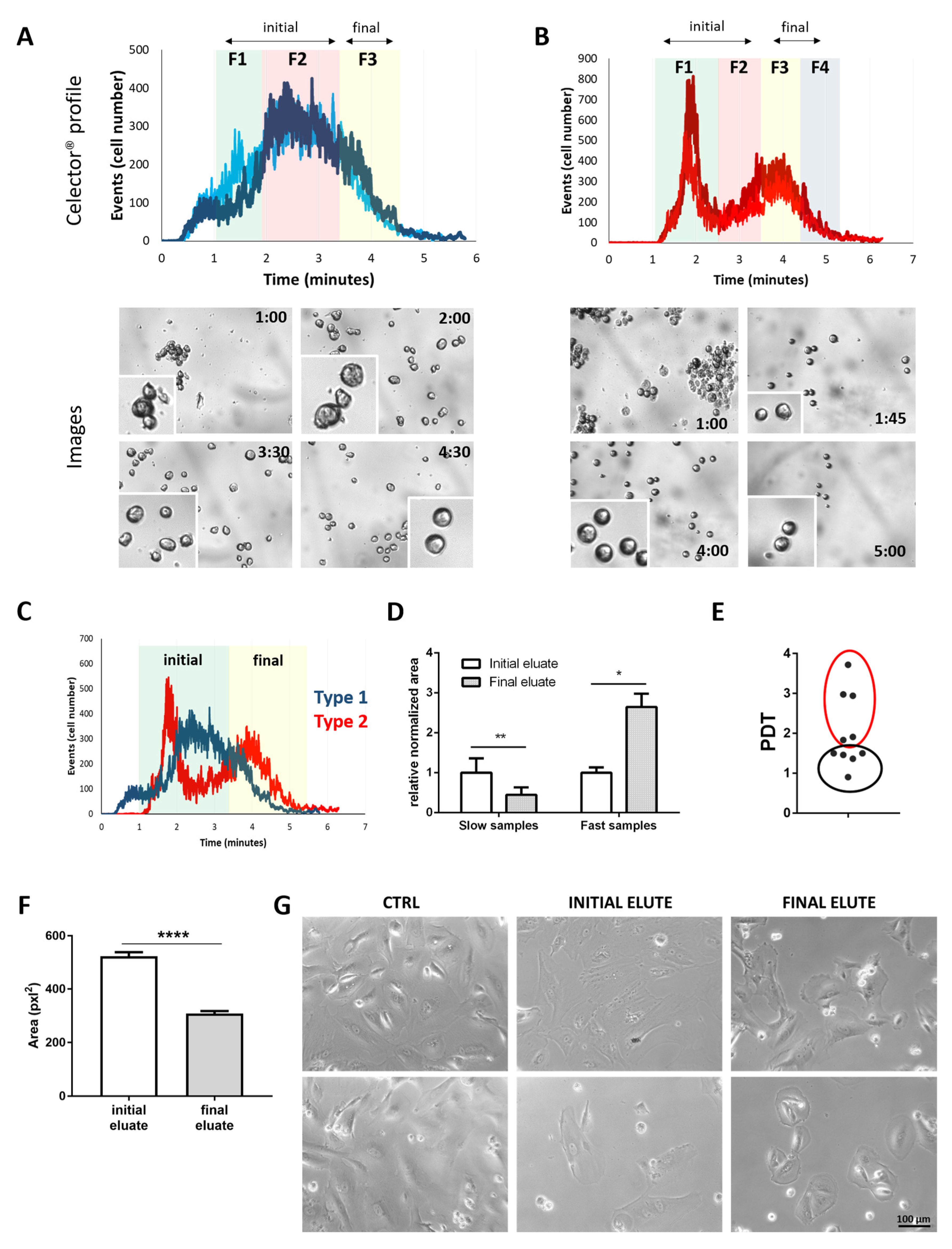 Cells 10 00158 g001