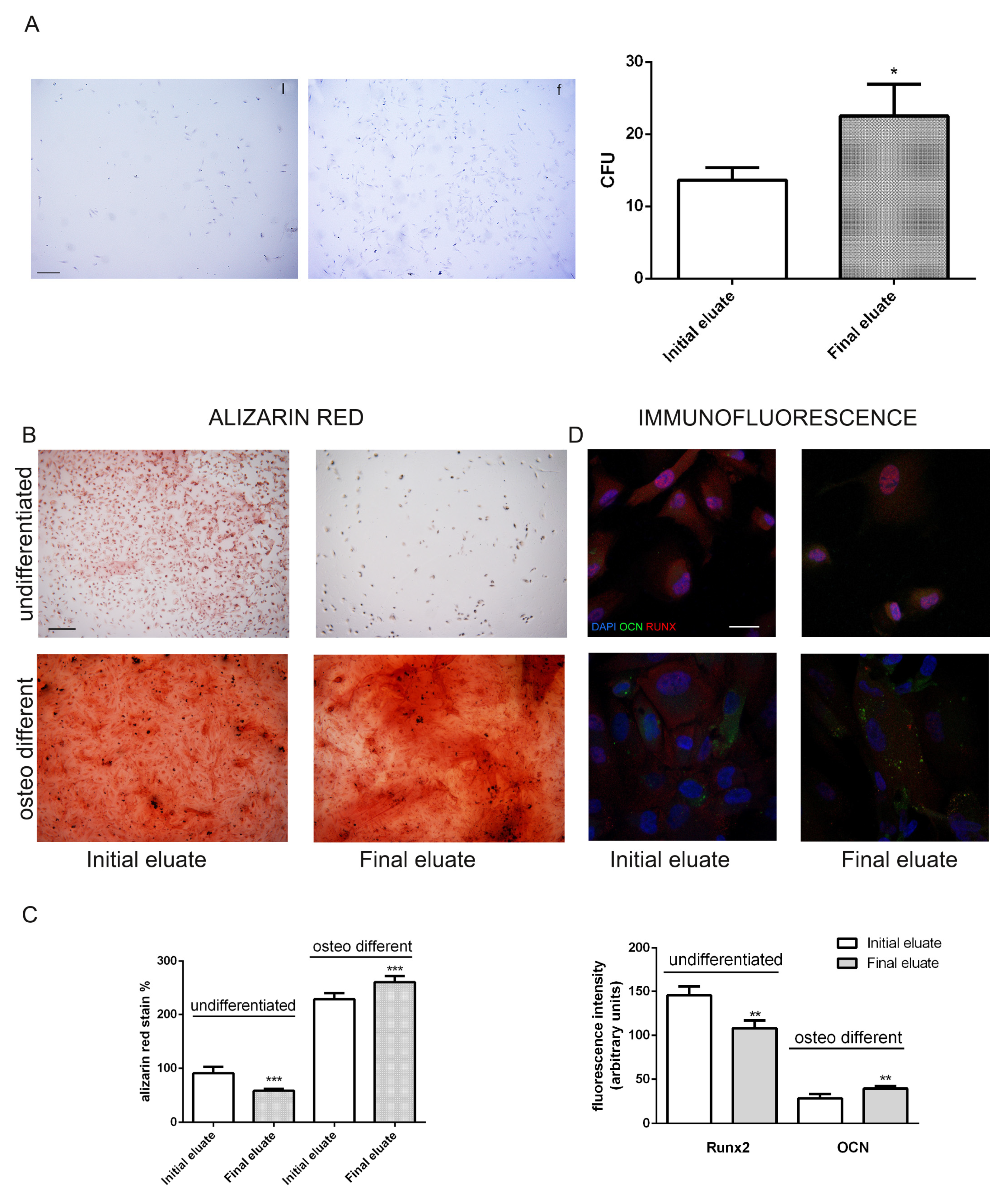 Cells 10 00158 g005