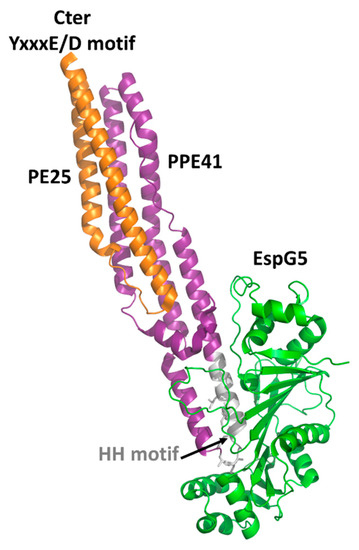 Cells 10 00161 g002 550