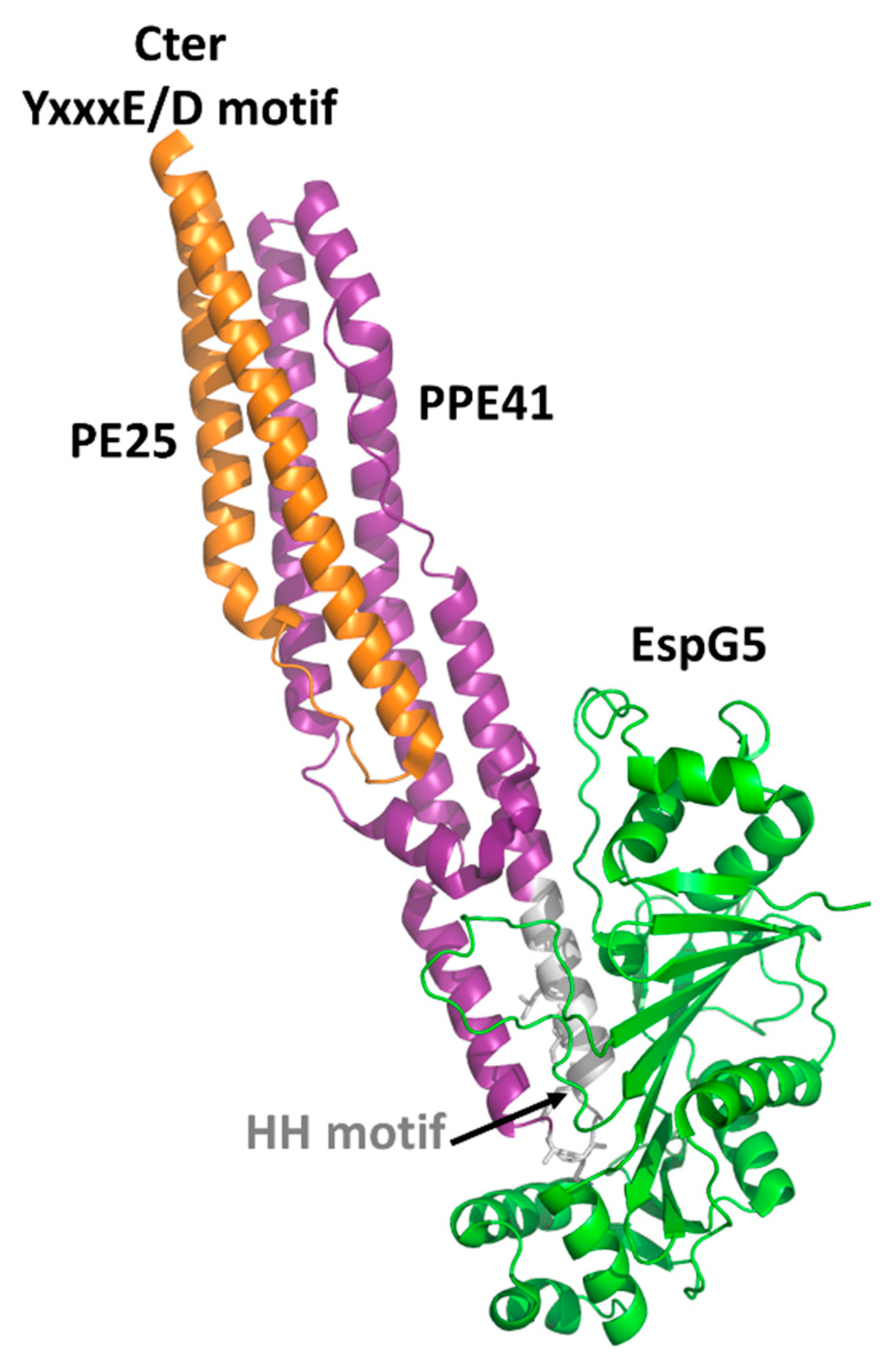 Cells 10 00161 g002