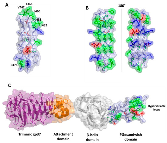 Cells 10 00161 g006 550