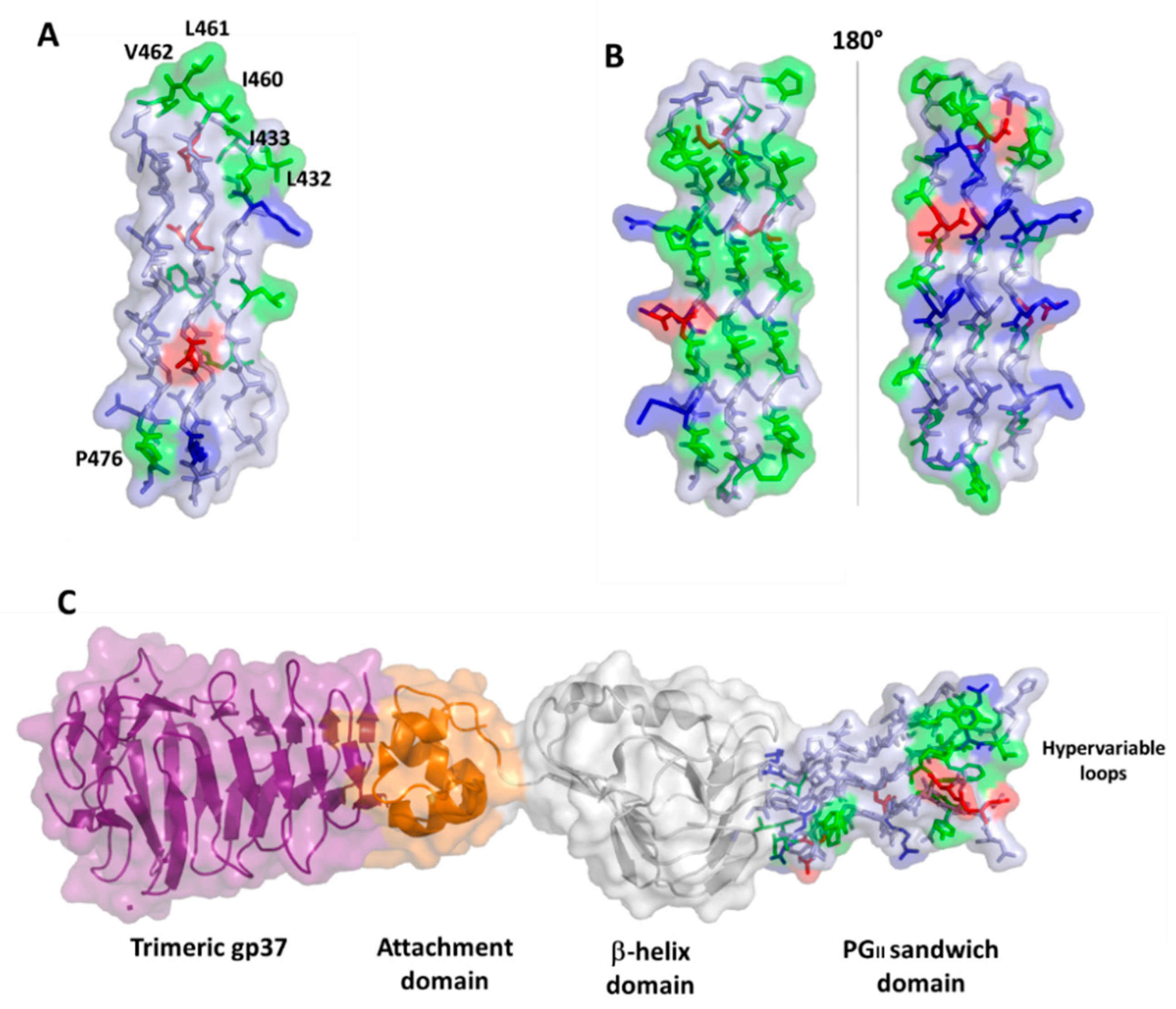 Cells 10 00161 g006