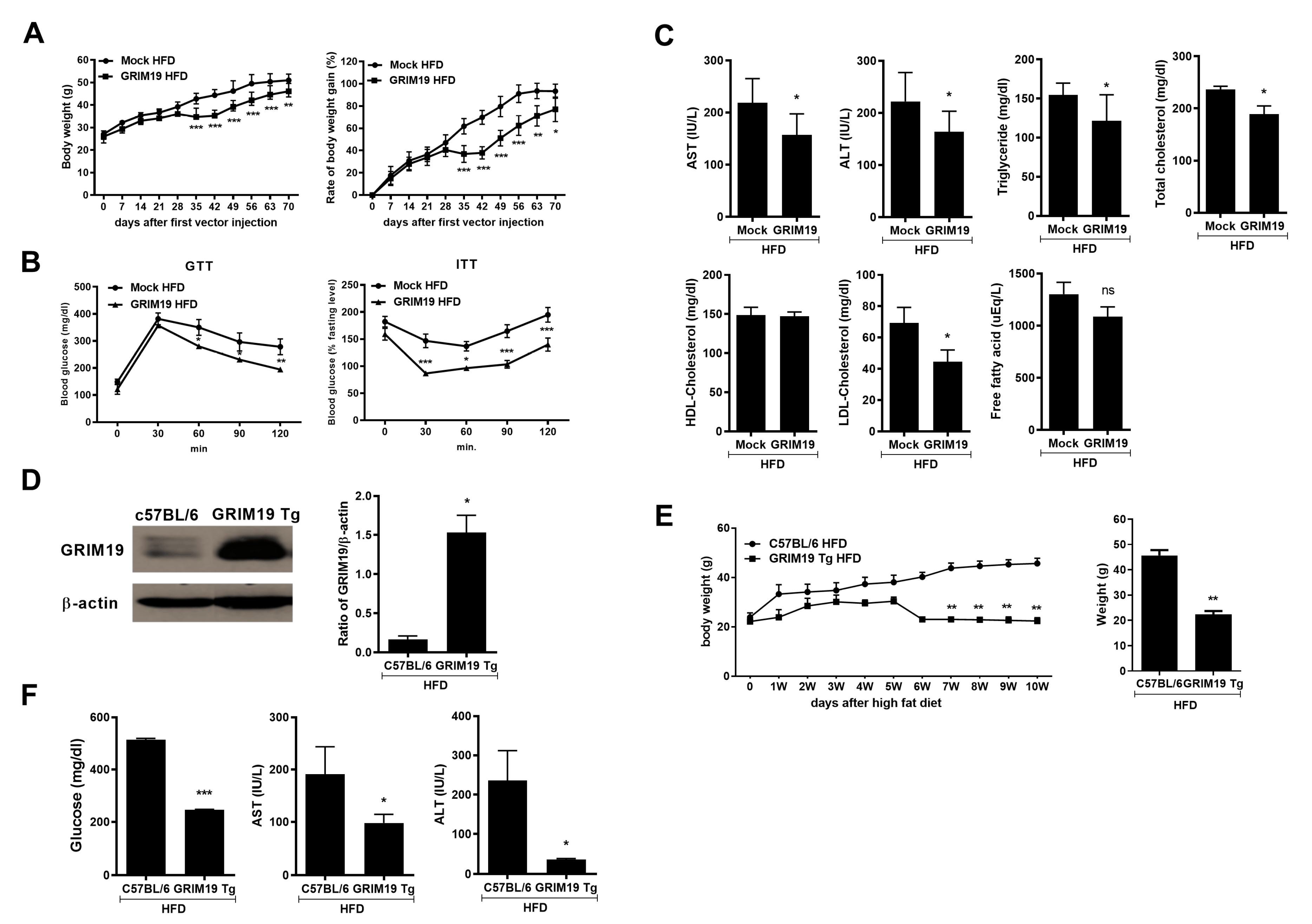 Cells 10 00162 g003 Cells 10 00162 g003