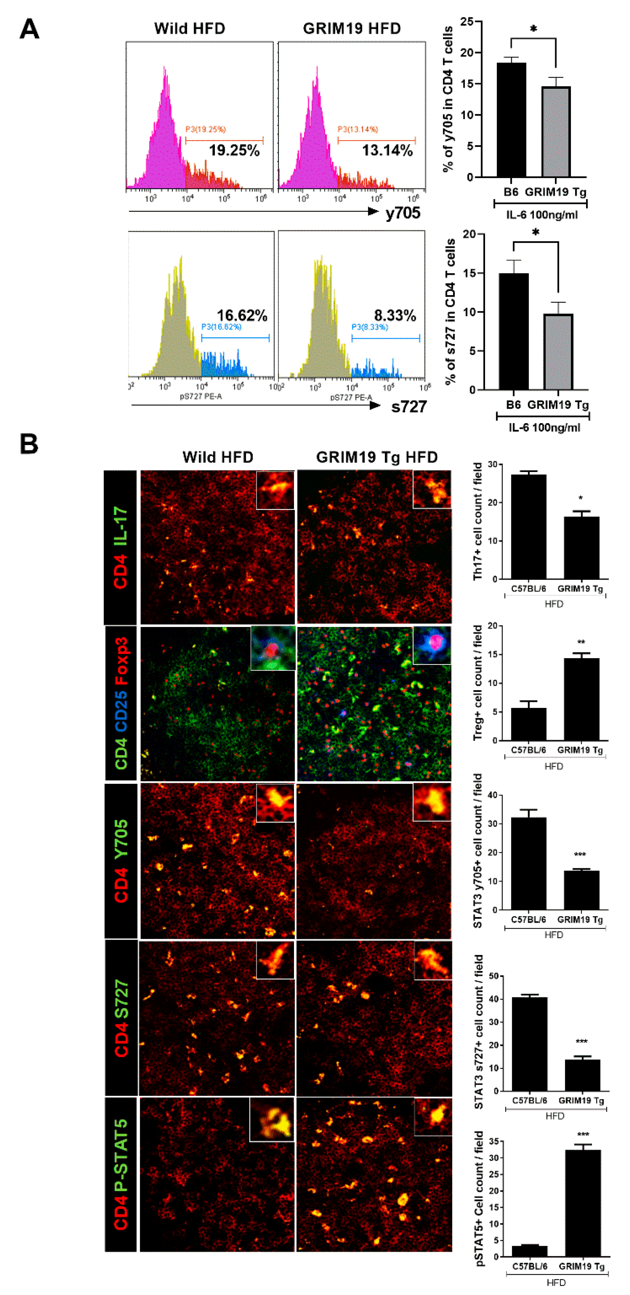 Cells 10 00162 g005 Cells 10 00162 g005