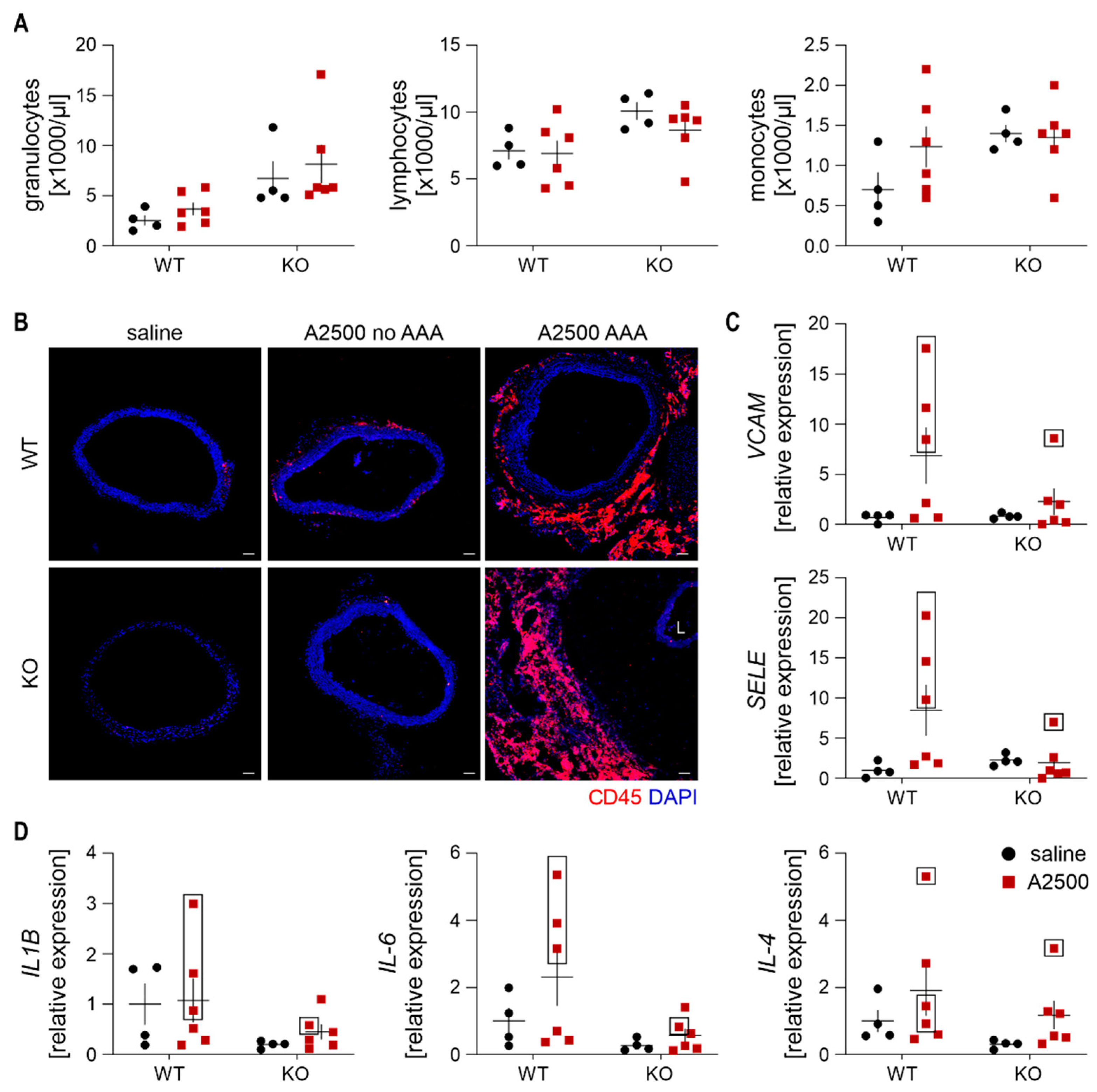 Cells 10 00163 g003 Cells 10 00163 g003