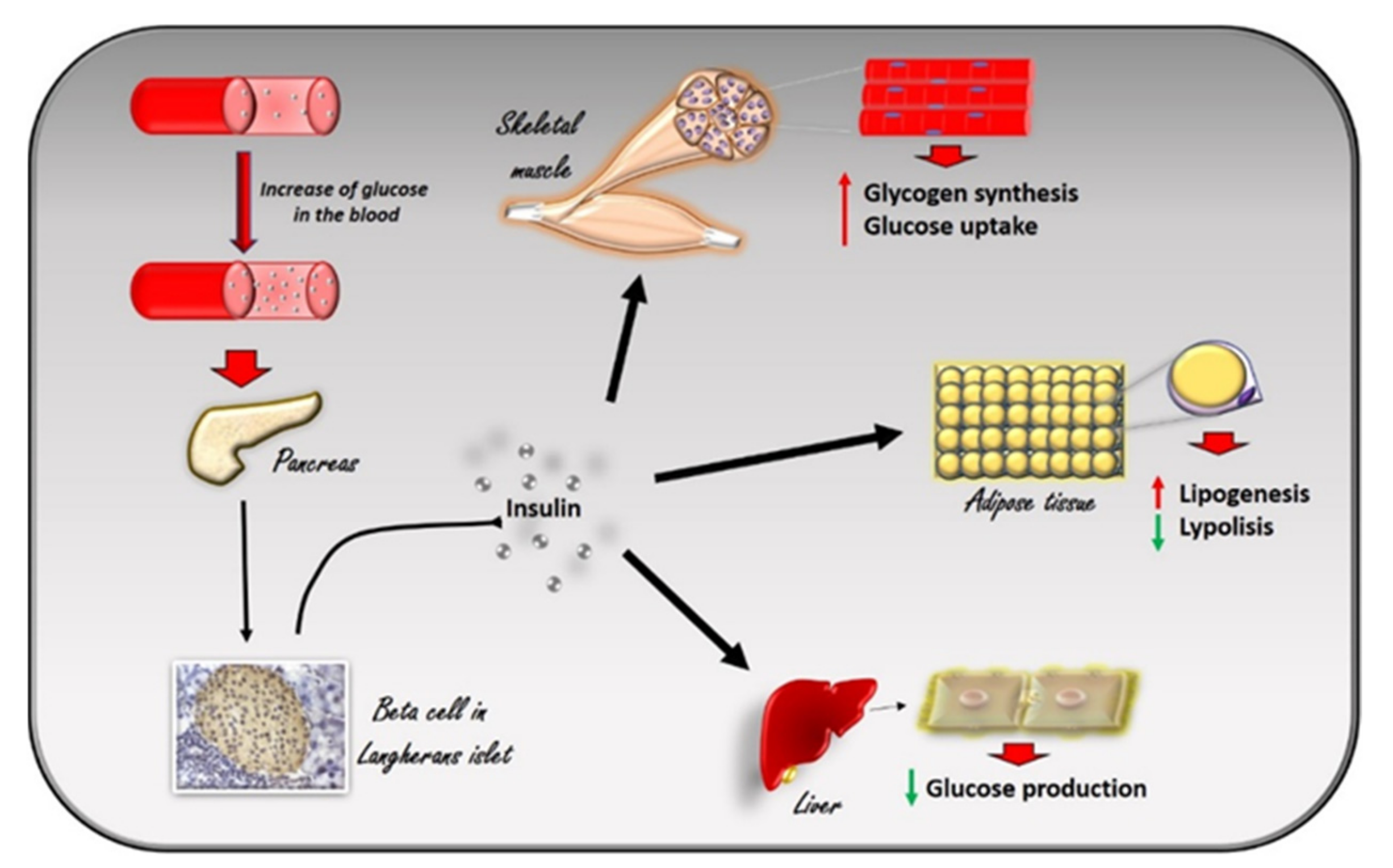 Cells 10 00167 g001 Cells 10 00167 g001