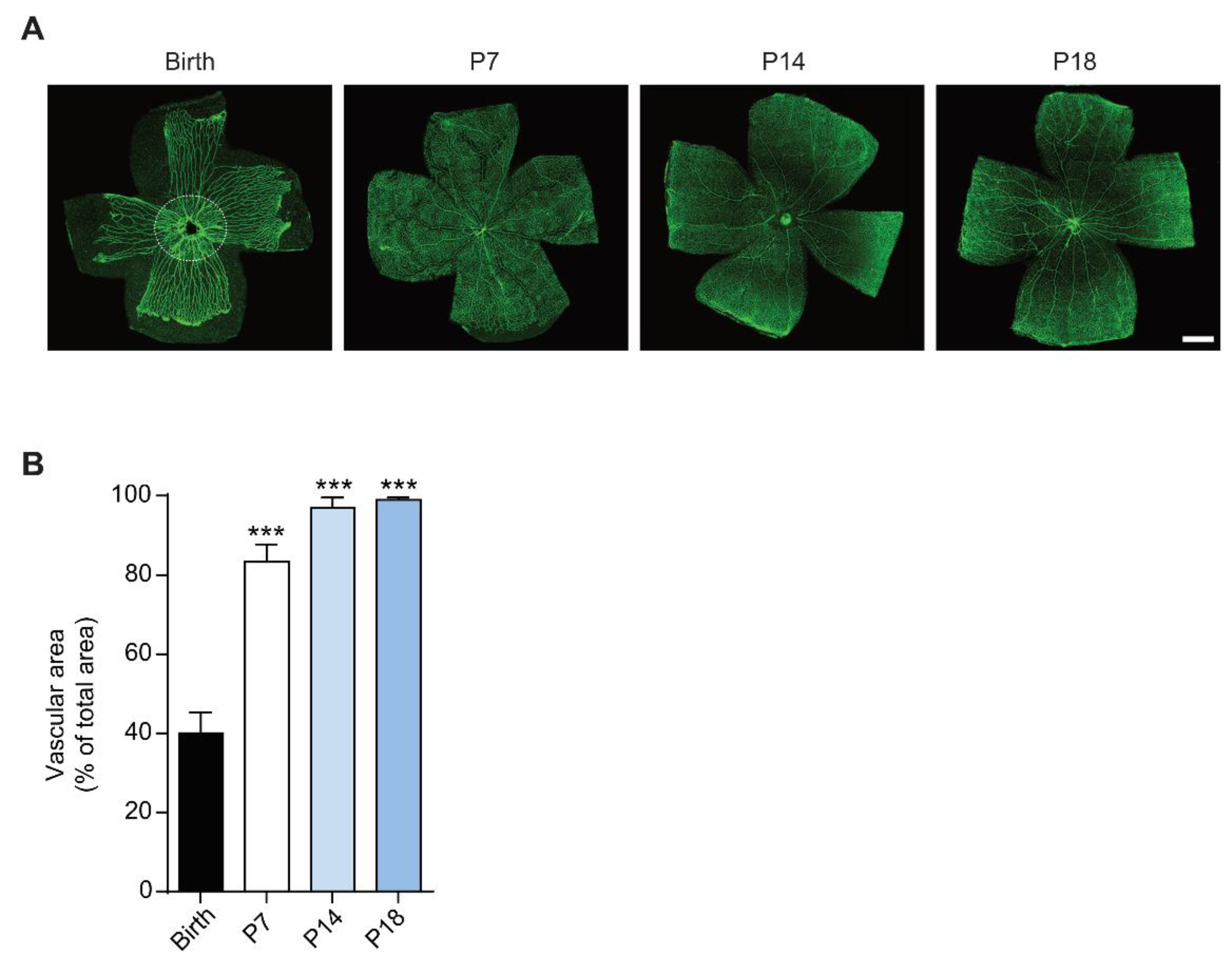 Cells 10 00177 g001 Cells 10 00177 g001