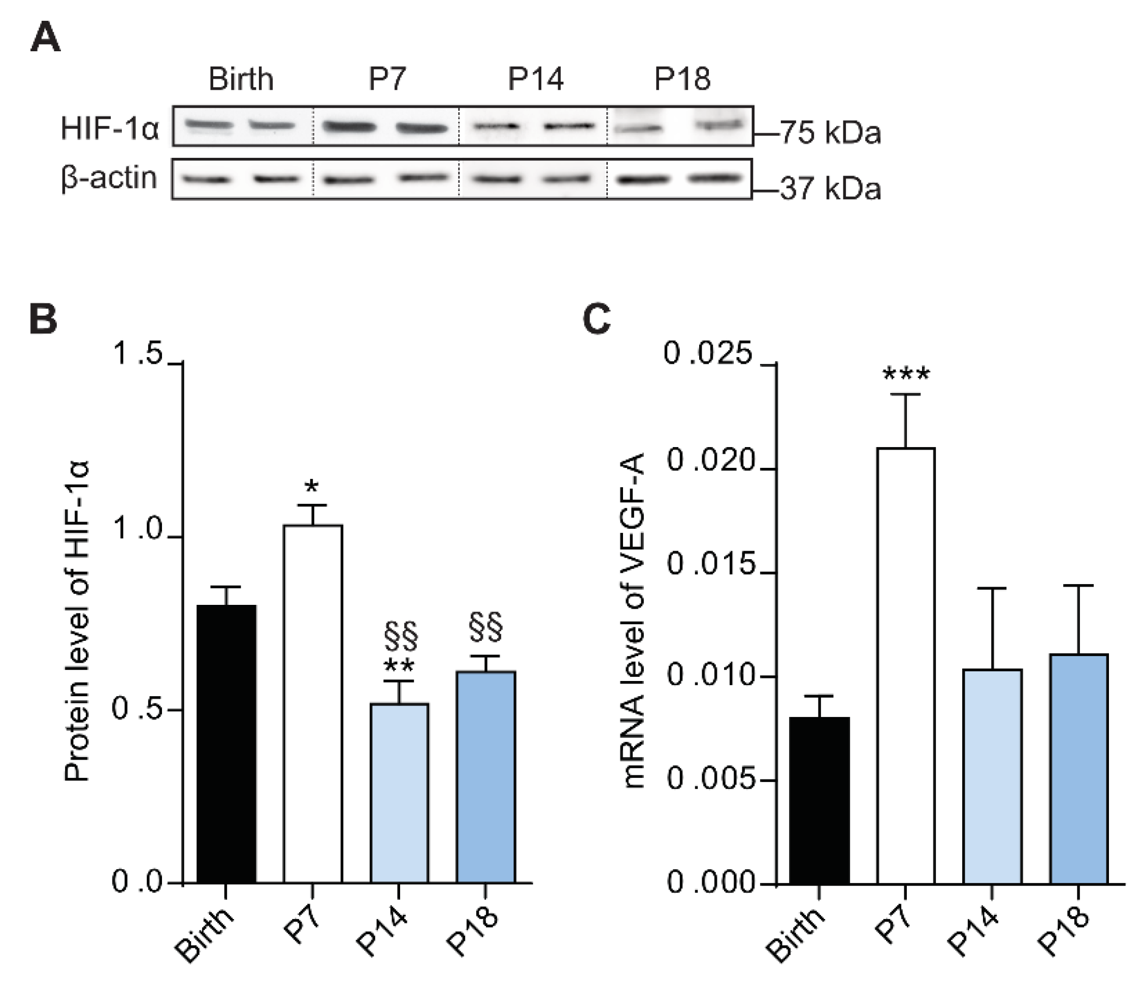 Cells 10 00177 g003 Cells 10 00177 g003