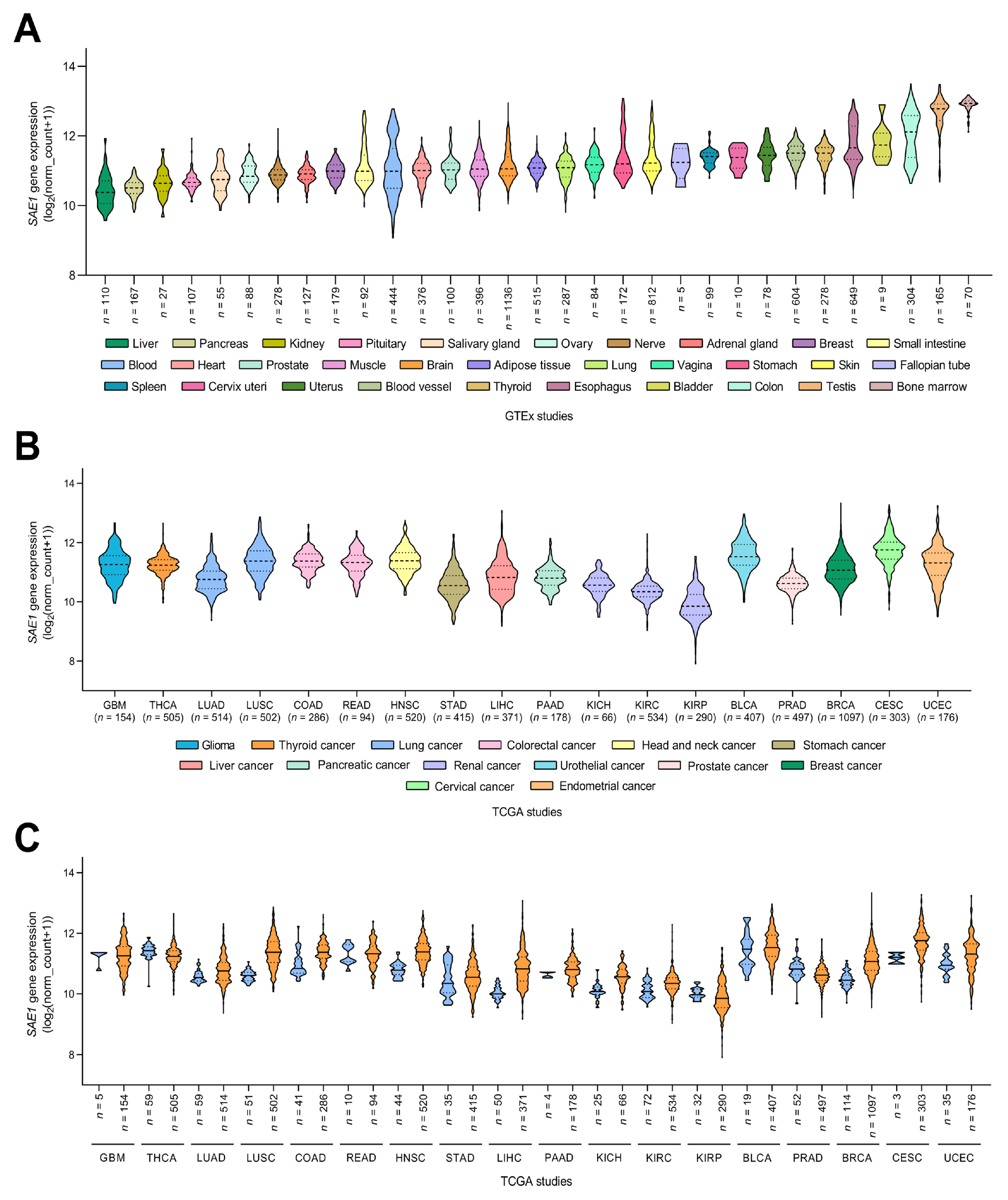 Cells 10 00178 g001 Cells 10 00178 g001